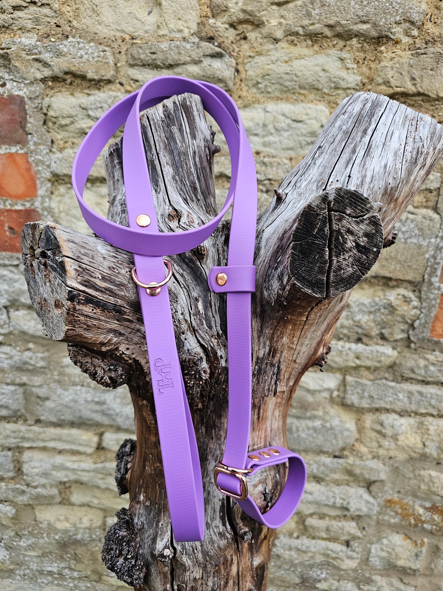 Amethyst - Waterproof BioThane® Dog Slip Lead