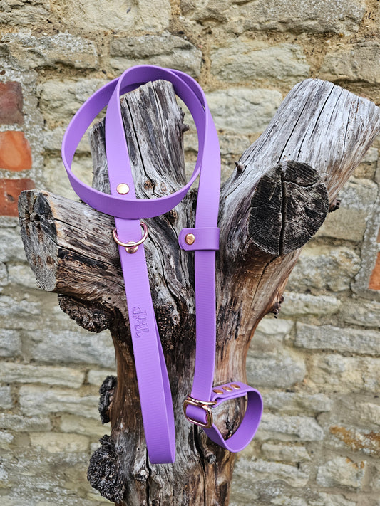 Amethyst - Waterproof BioThane® Dog Slip Lead