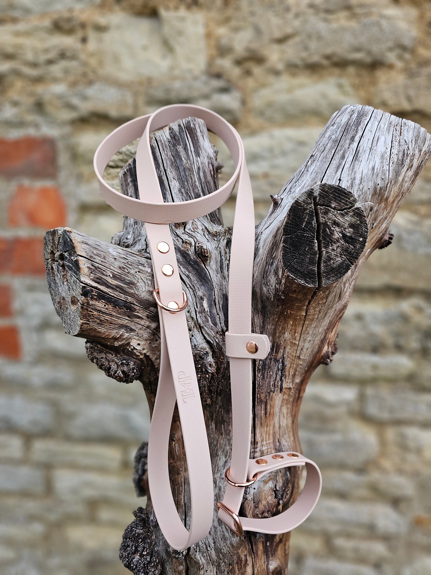 Powder Pearl - Waterproof BioThane® Dog Slip Lead