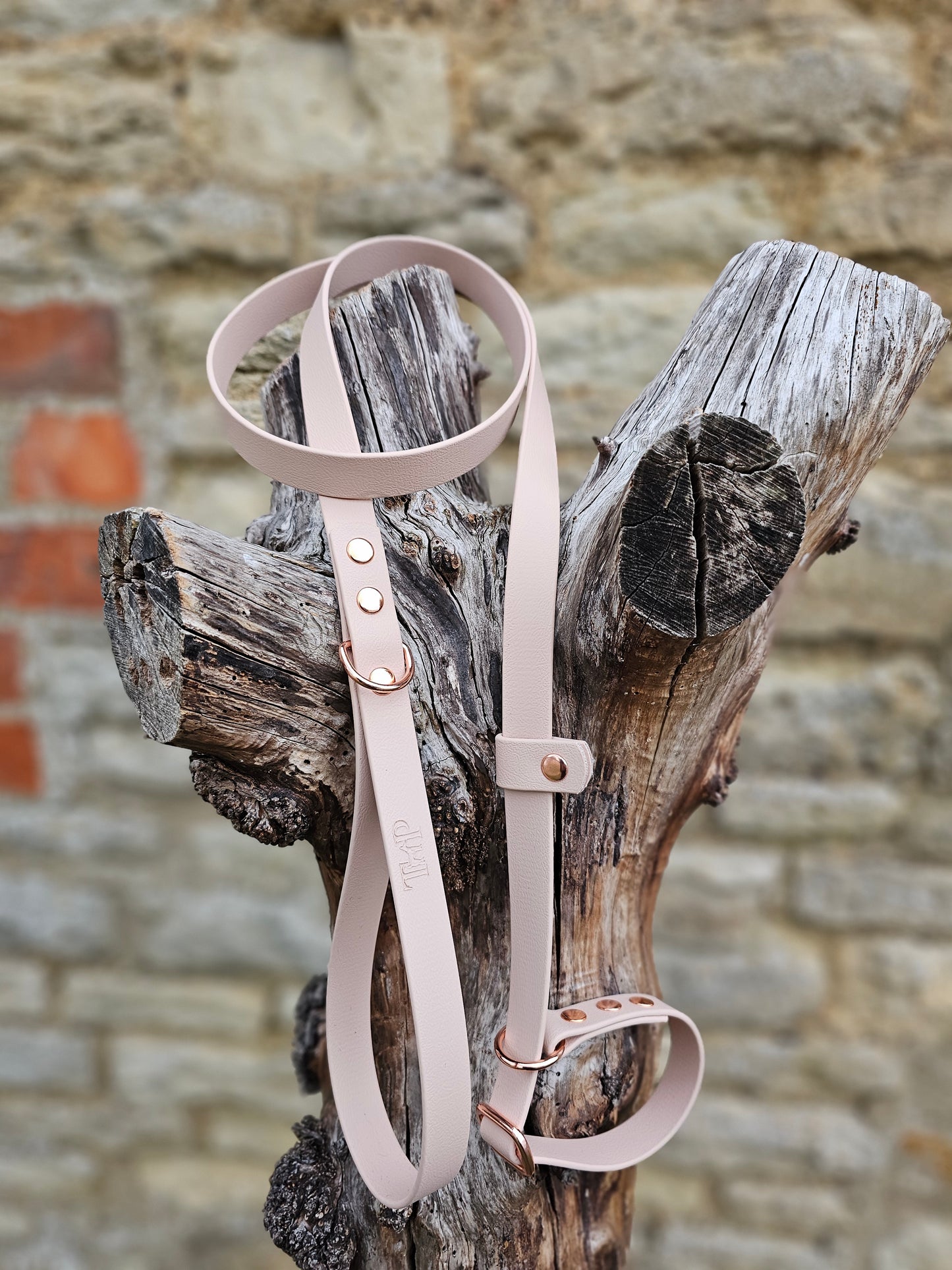 Powder Pearl - Waterproof BioThane® Dog Slip Lead