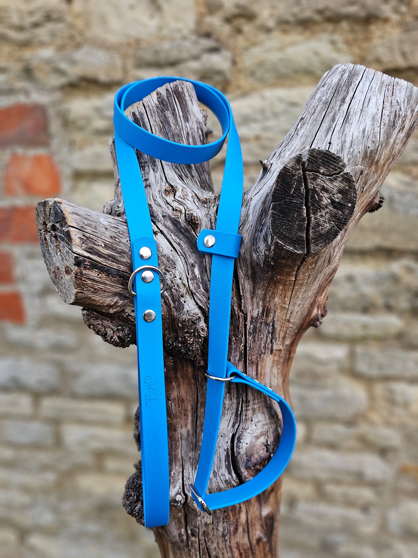 Blue - Waterproof BioThane® Dog Slip Lead