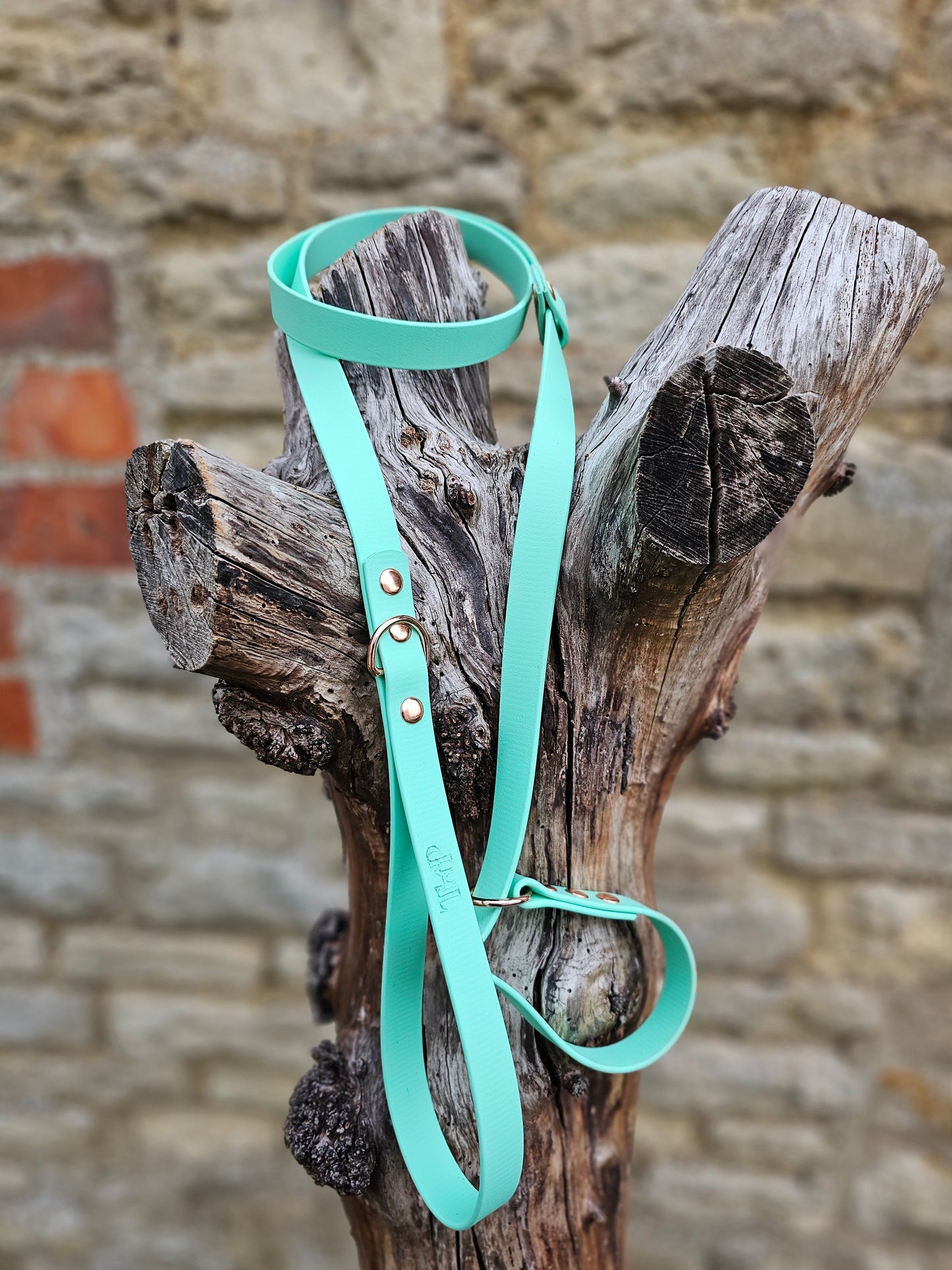 Mint - Waterproof BioThane® Dog Slip Lead