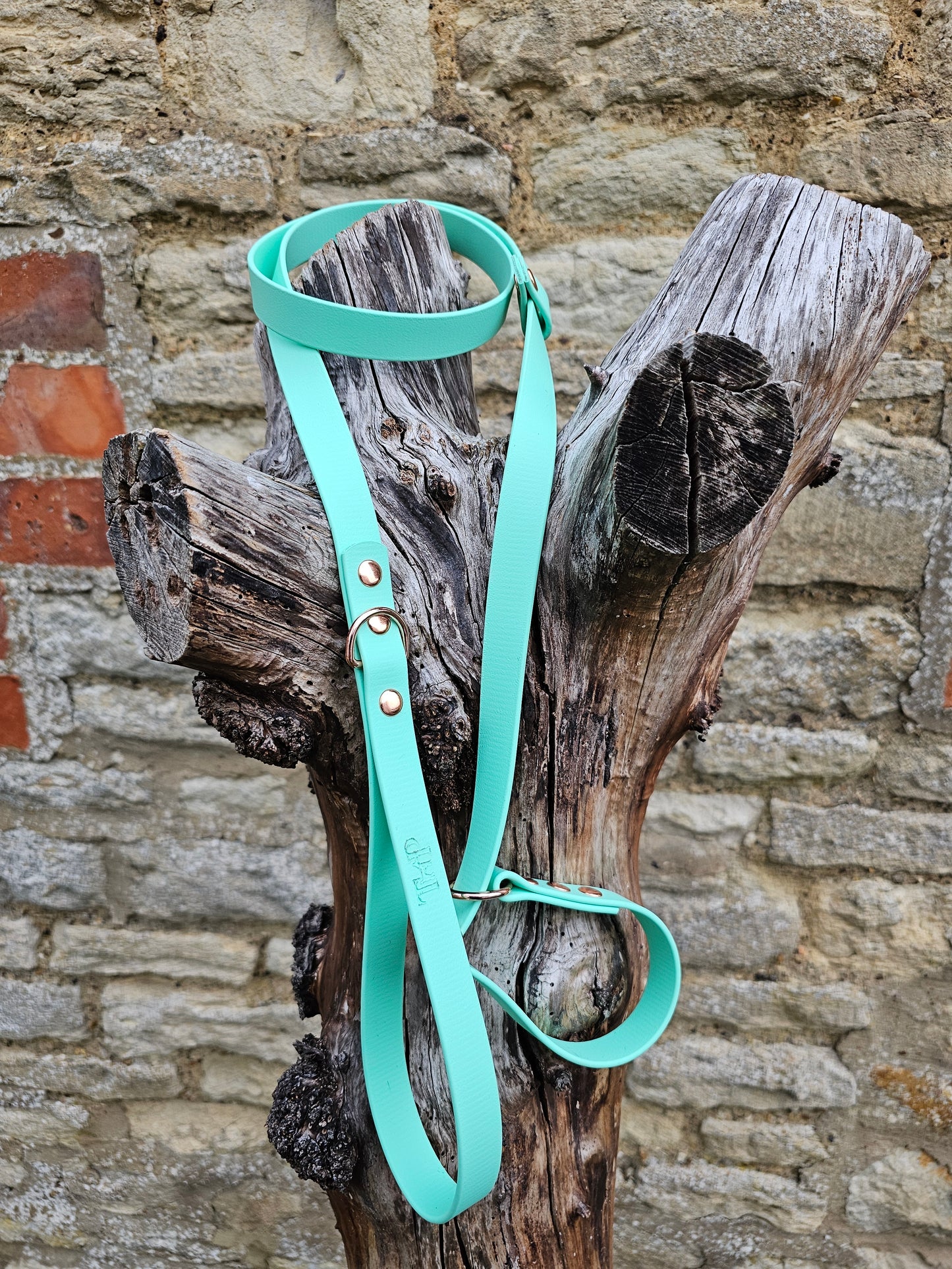 Mint - Waterproof BioThane® Dog Slip Lead