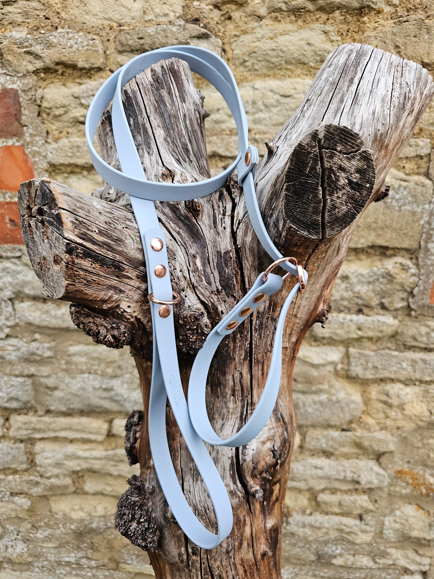 Baby Blue - Waterproof BioThane® Dog Slip Lead