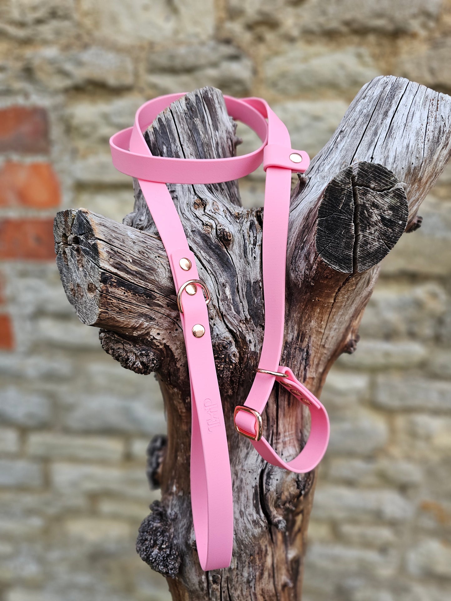 Baby Pink - Waterproof BioThane® Dog Slip Lead