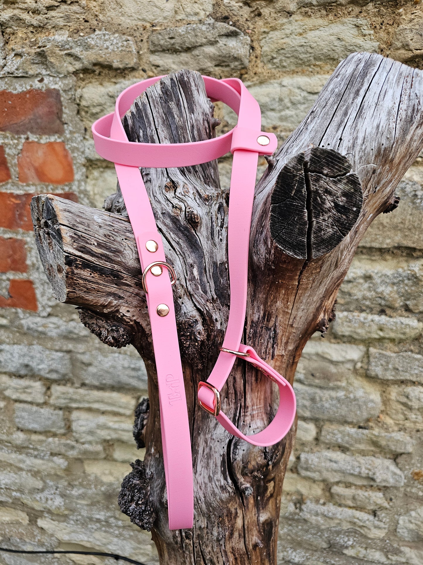 Baby Pink - Waterproof BioThane® Dog Slip Lead