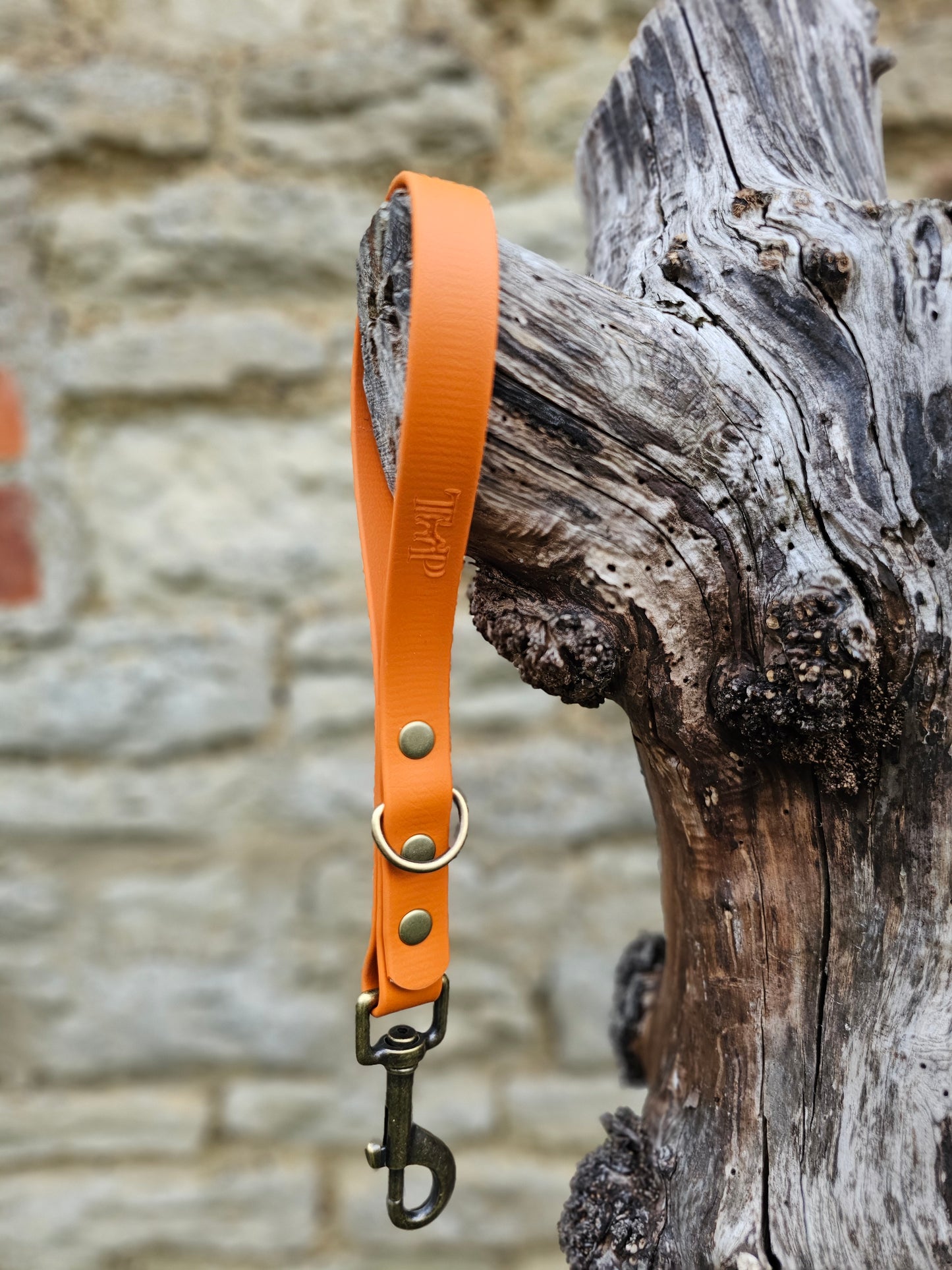 Burnt Orange - Waterproof BioThane® Dog Traffic Leash / Dog Traffic Handle