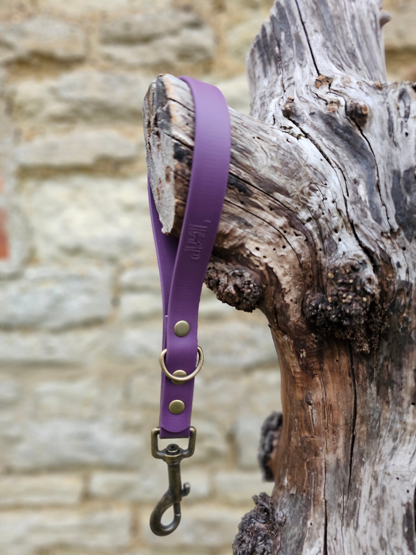 Aubergine - Waterproof BioThane® Dog Traffic Leash / Dog Traffic Handle