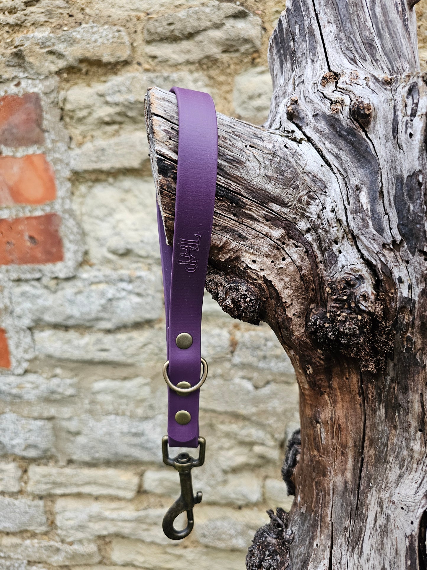 Aubergine - Waterproof BioThane® Dog Traffic Leash / Dog Traffic Handle