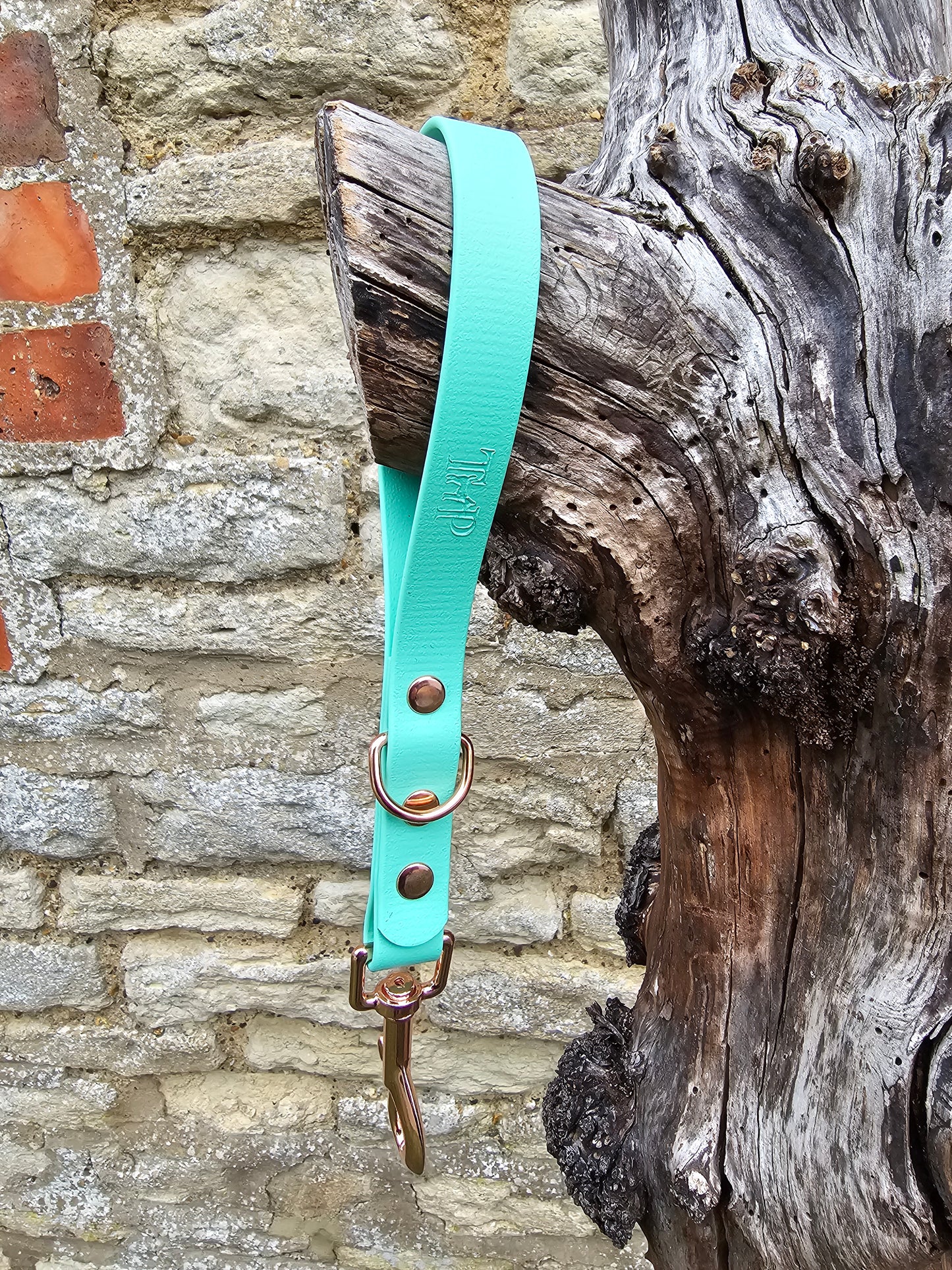 Mint - Waterproof BioThane® Dog Traffic Leash / Dog Traffic Handle