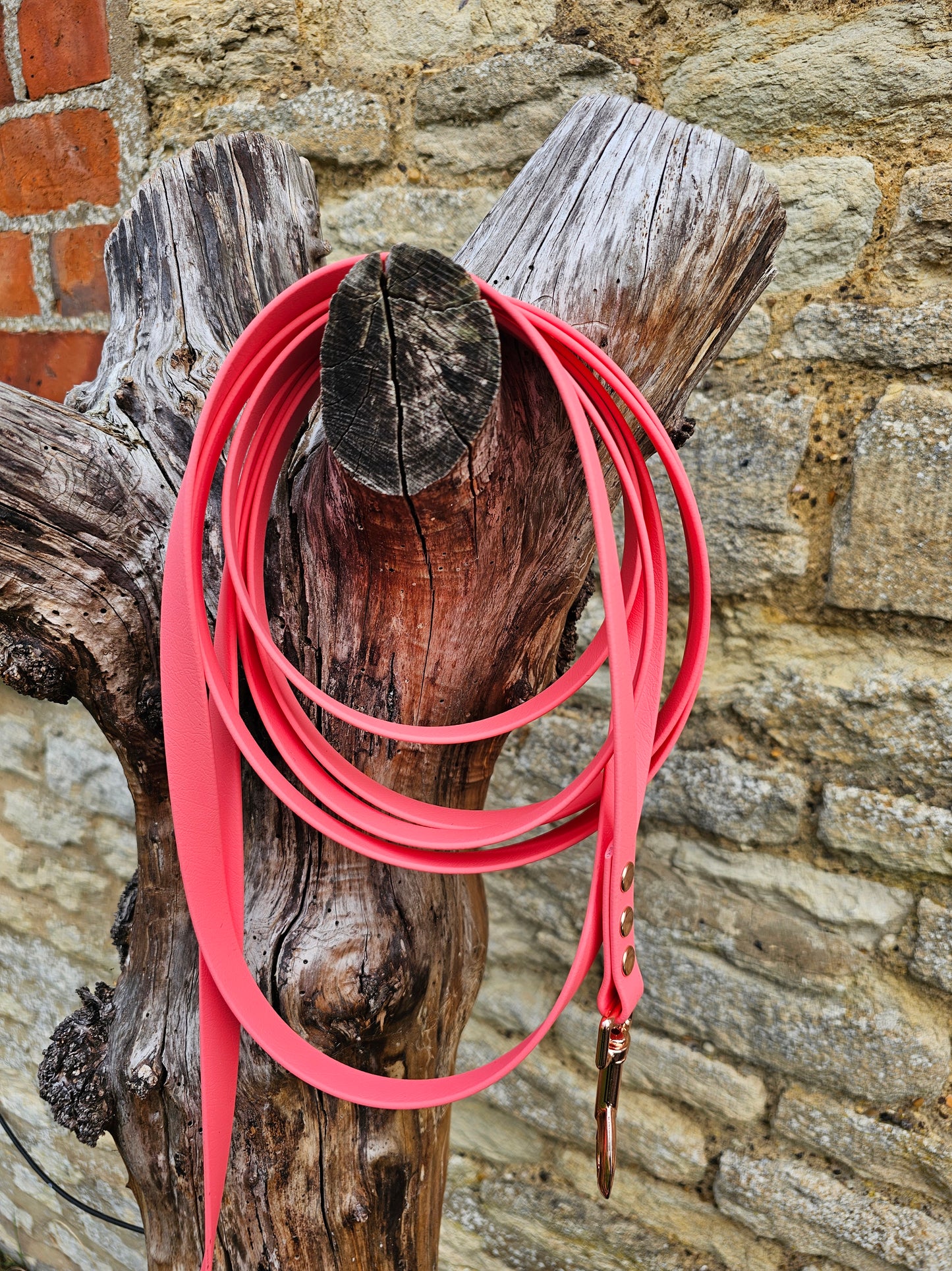Coral - Waterproof BioThane© Dog Long Line Lead