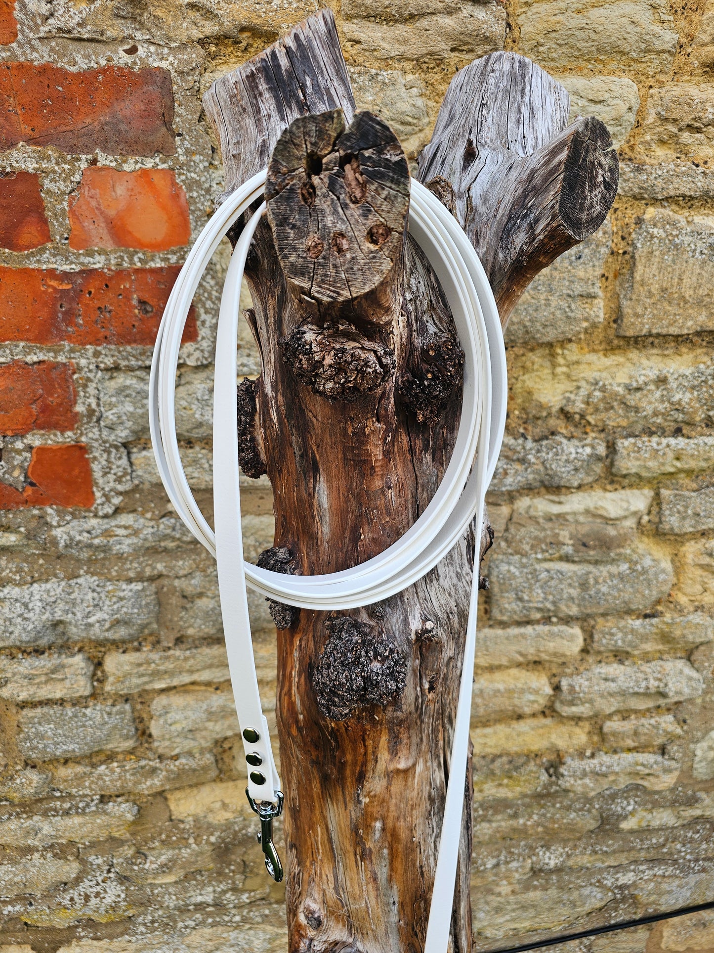 White - Waterproof BioThane© Dog Long Line Lead