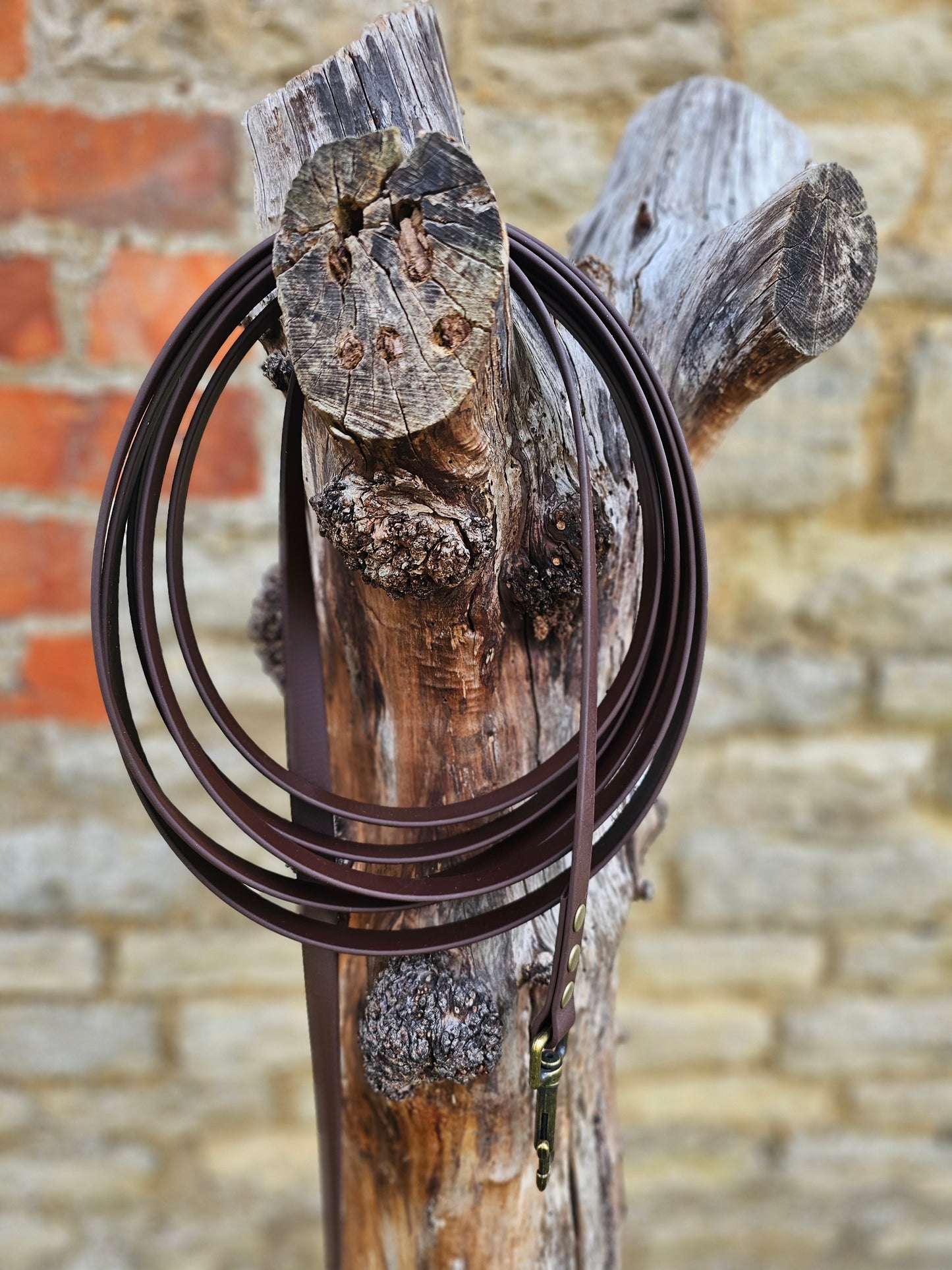 Dark Brown - Waterproof BioThane© Dog Long Line Lead