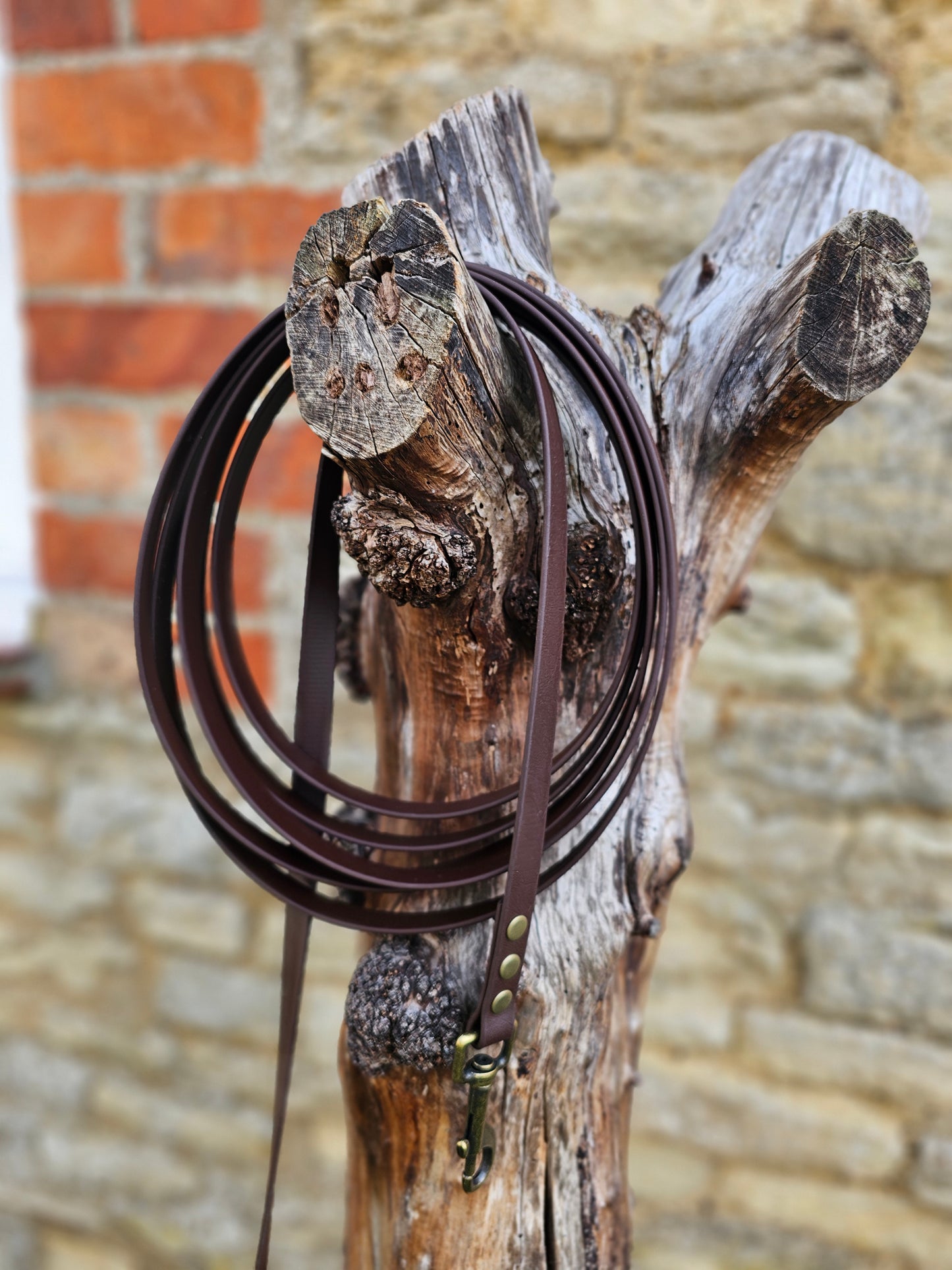 Dark Brown - Waterproof BioThane© Dog Long Line Lead