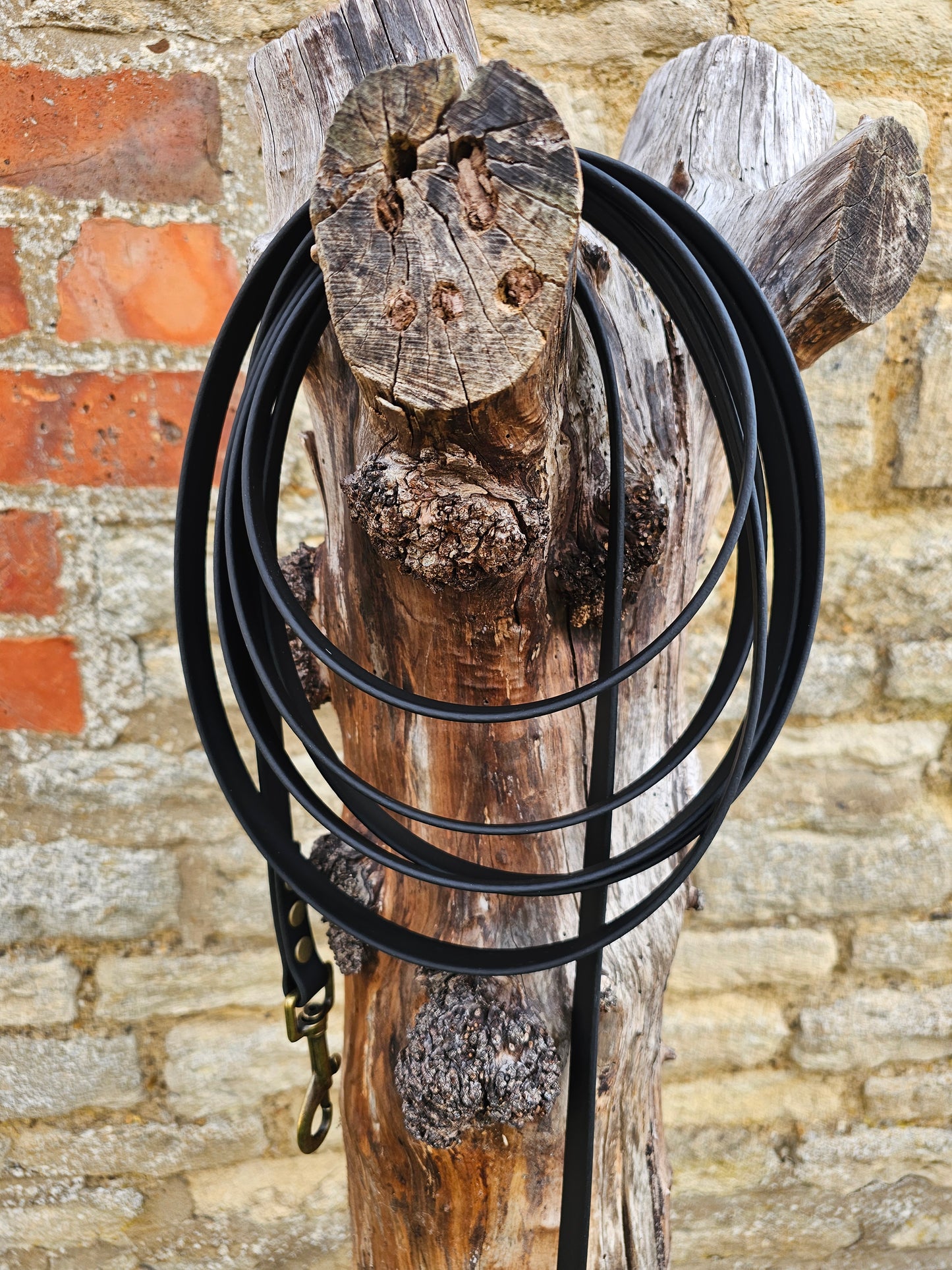 Black - Waterproof BioThane© Dog Long Line Lead