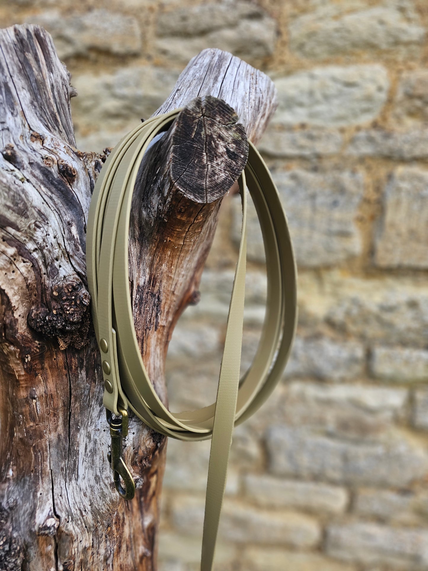 Clay - Waterproof BioThane© Dog Long Line Lead