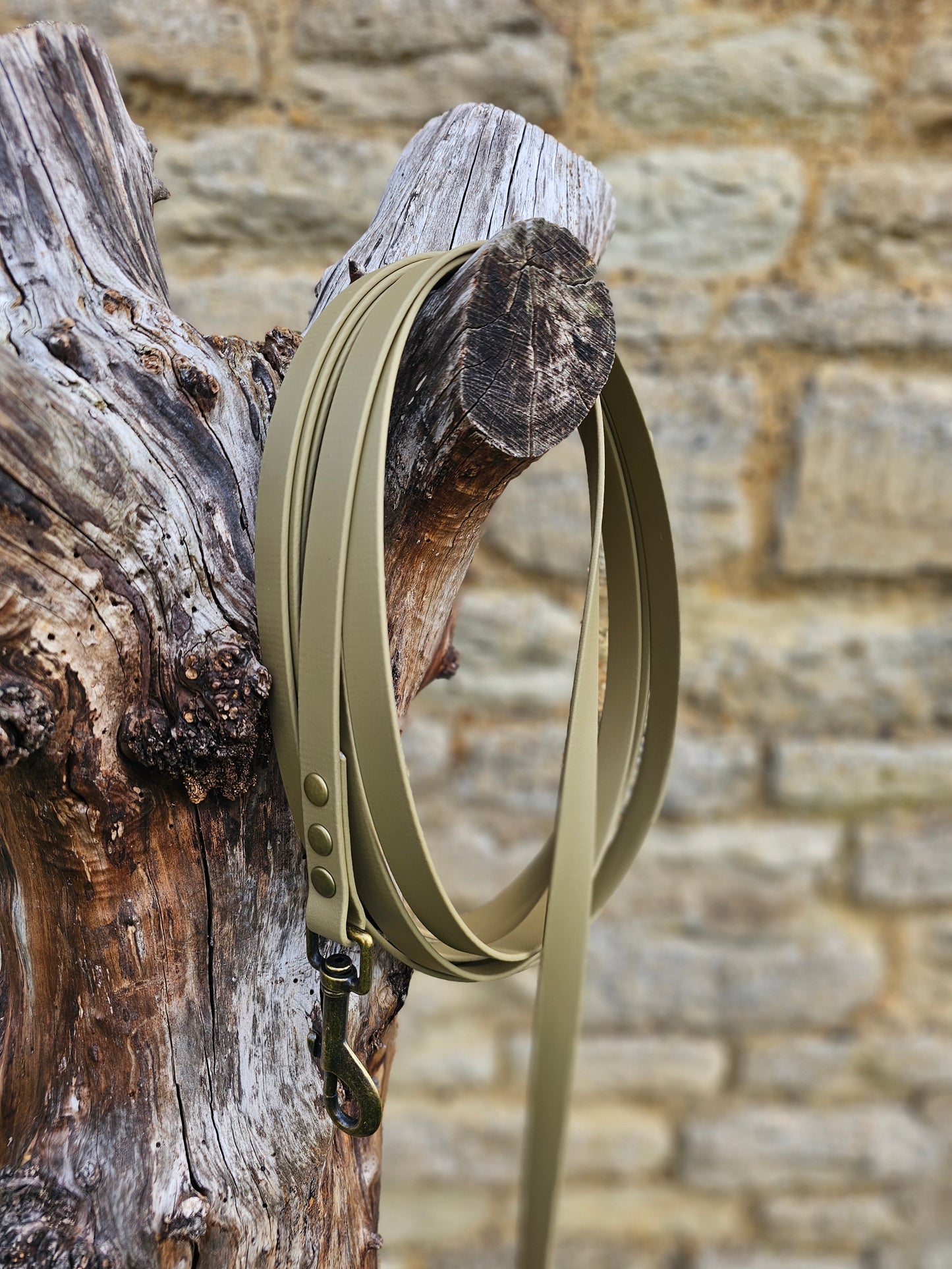 Clay - Waterproof BioThane© Dog Long Line Lead