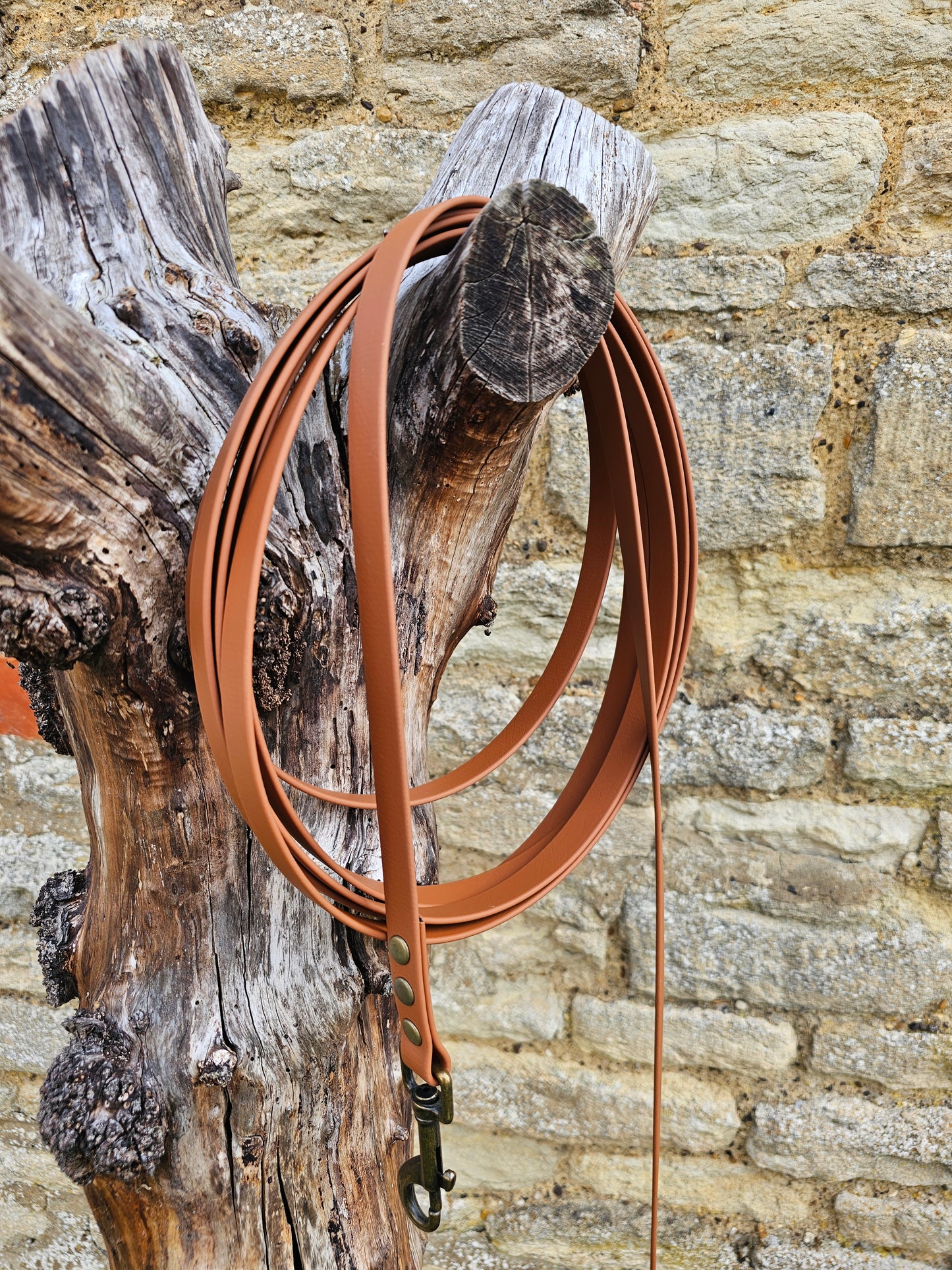 Tan - Waterproof BioThane© Dog Long Line Lead