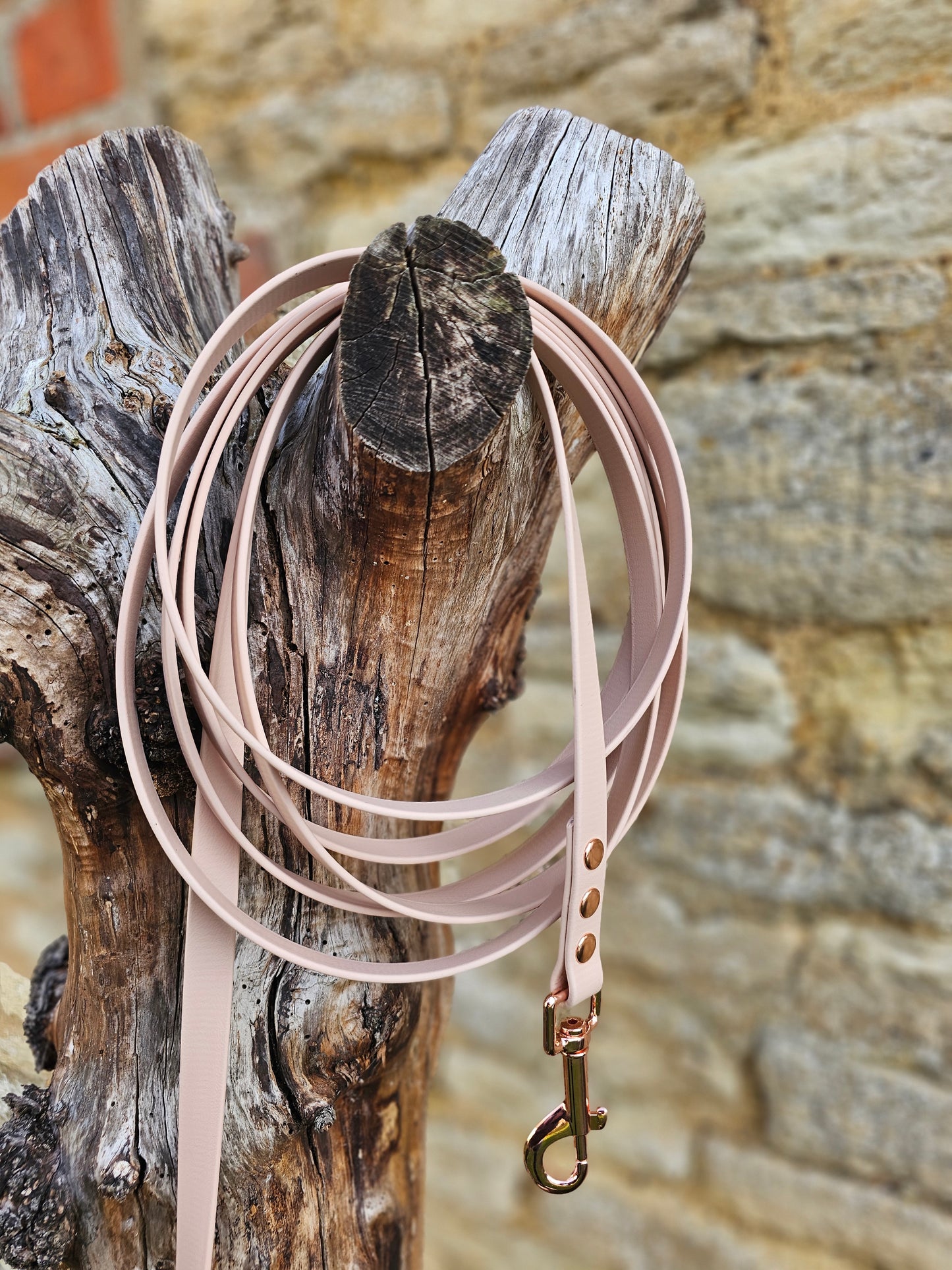 Powder Pearl - Waterproof BioThane© Dog Long Line Lead