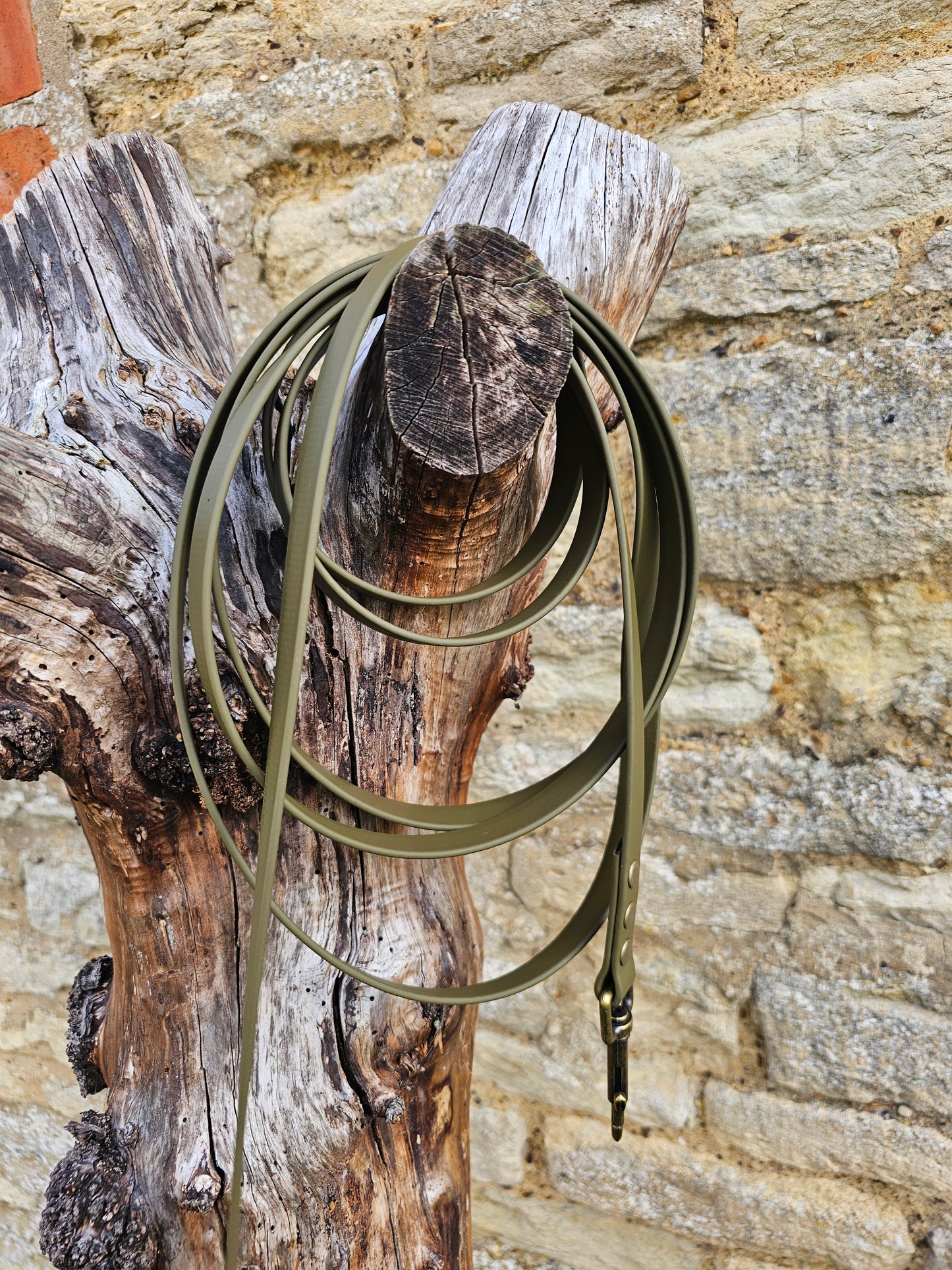 Olive - Waterproof BioThane© Dog Long Line Lead