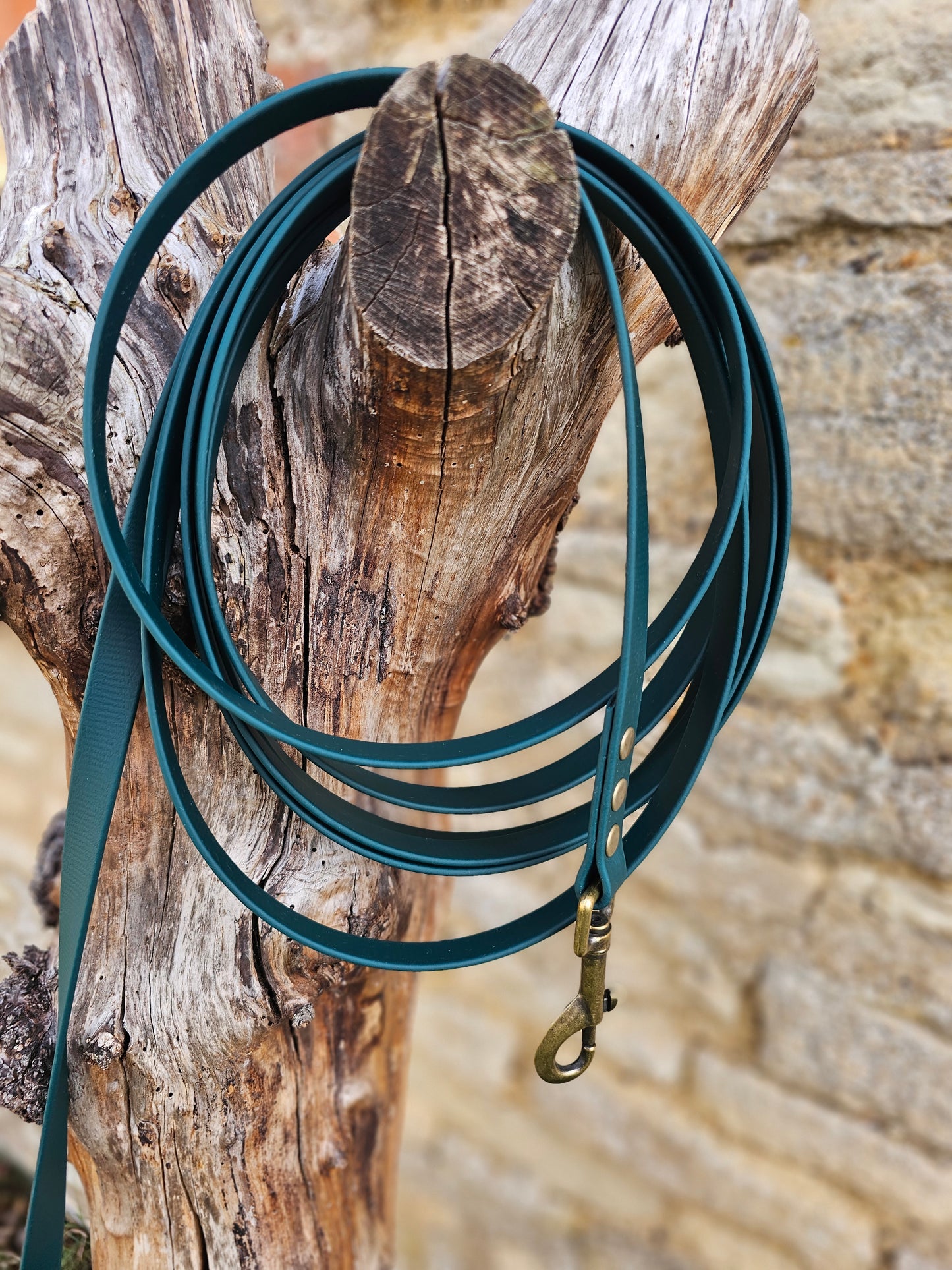 Dark Green - Waterproof BioThane© Dog Long Line Lead