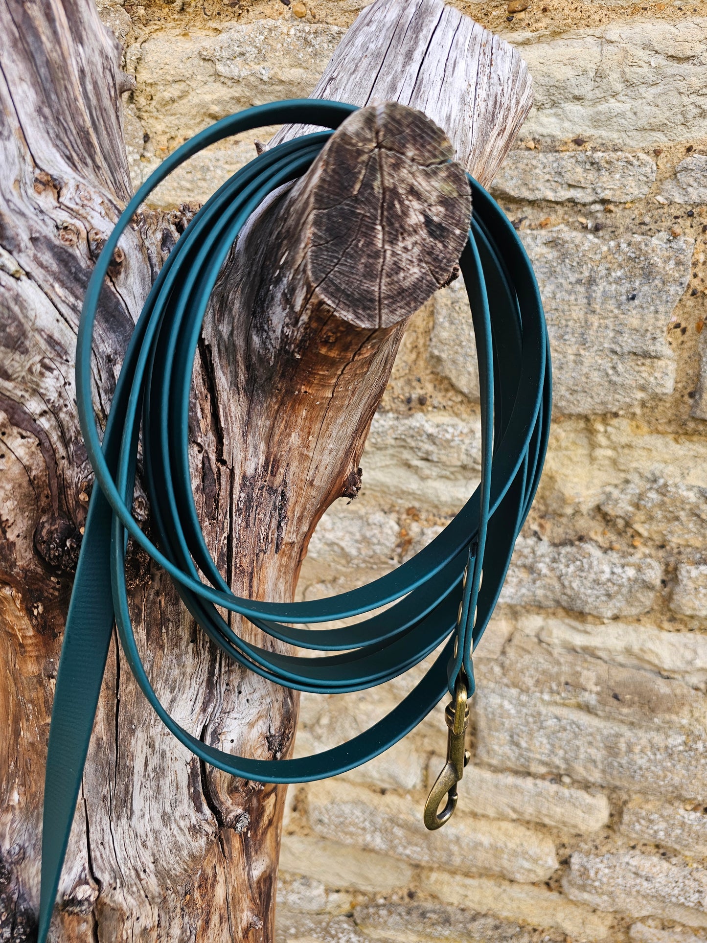 Dark Green - Waterproof BioThane© Dog Long Line Lead