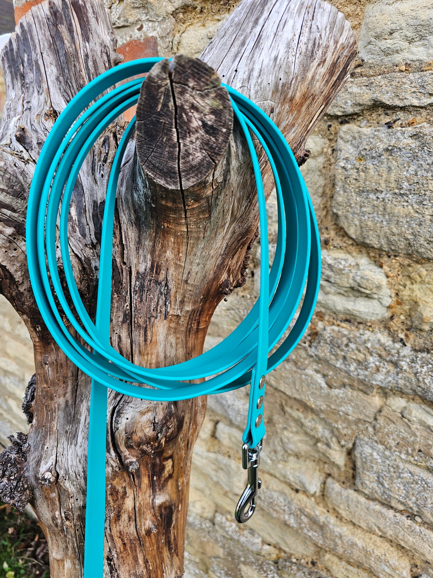 Teal - Waterproof BioThane© Dog Long Line Lead