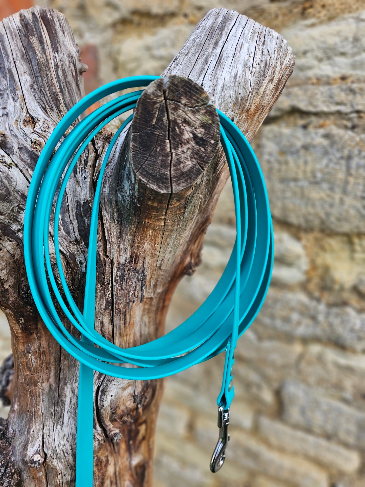 Teal - Waterproof BioThane© Dog Long Line Lead
