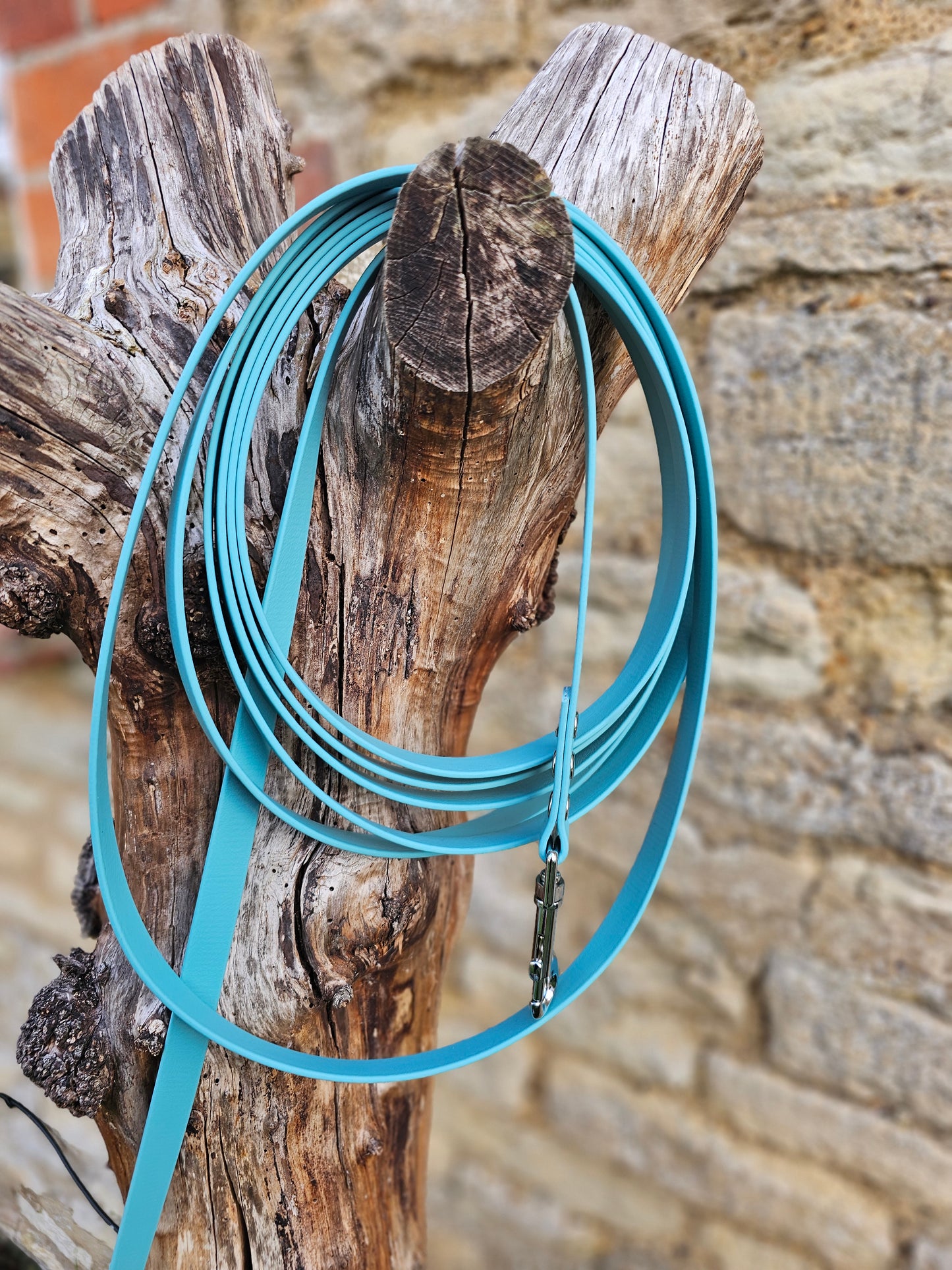 Duckegg - Waterproof BioThane© Dog Long Line Lead