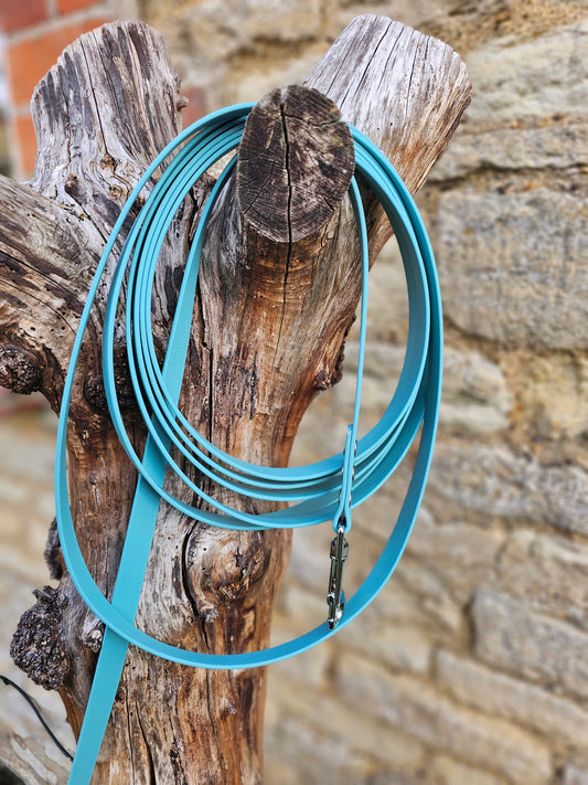Duckegg - Waterproof BioThane© Dog Long Line Lead