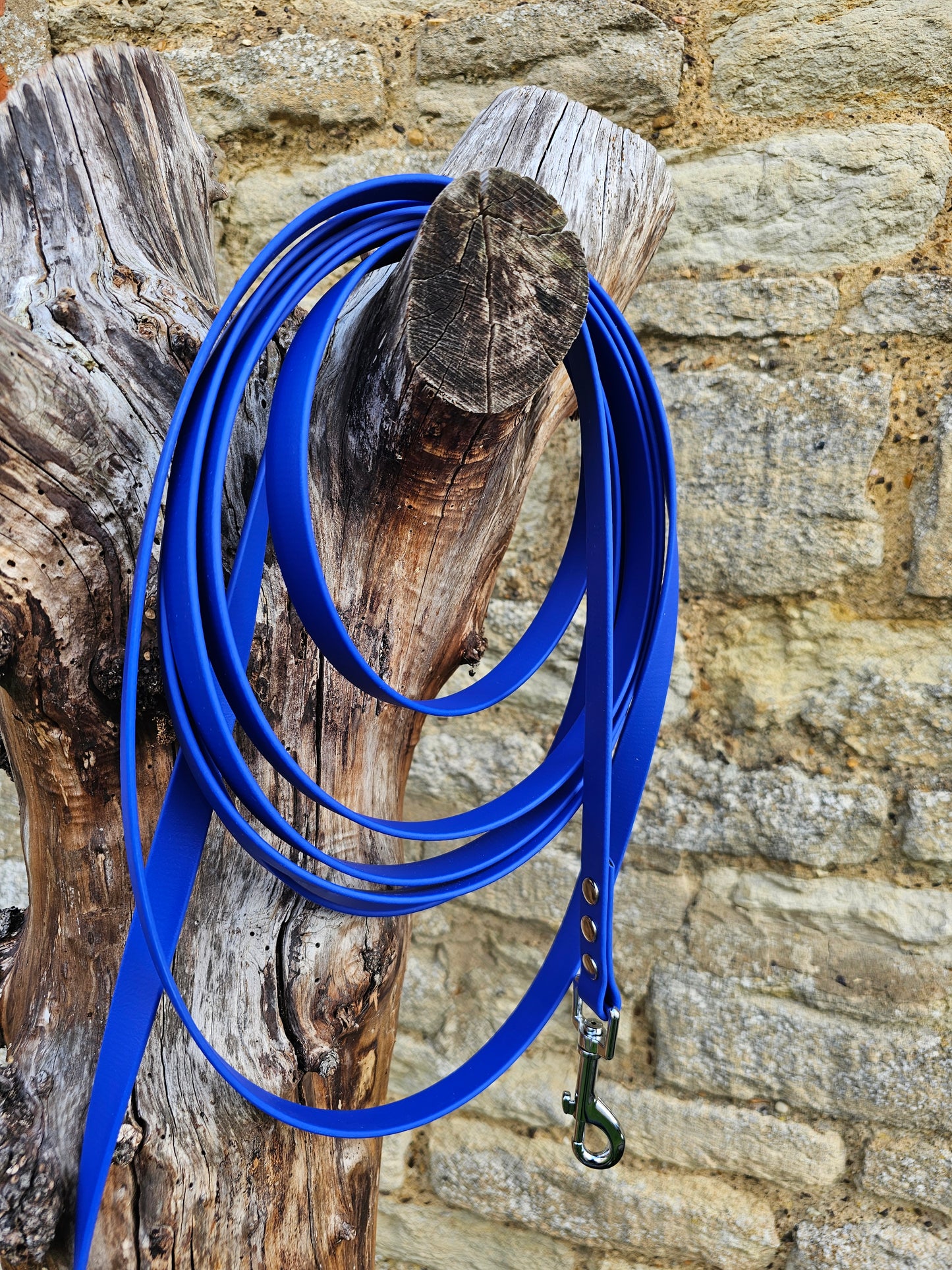 Royal Blue - Waterproof BioThane© Dog Long Line Lead