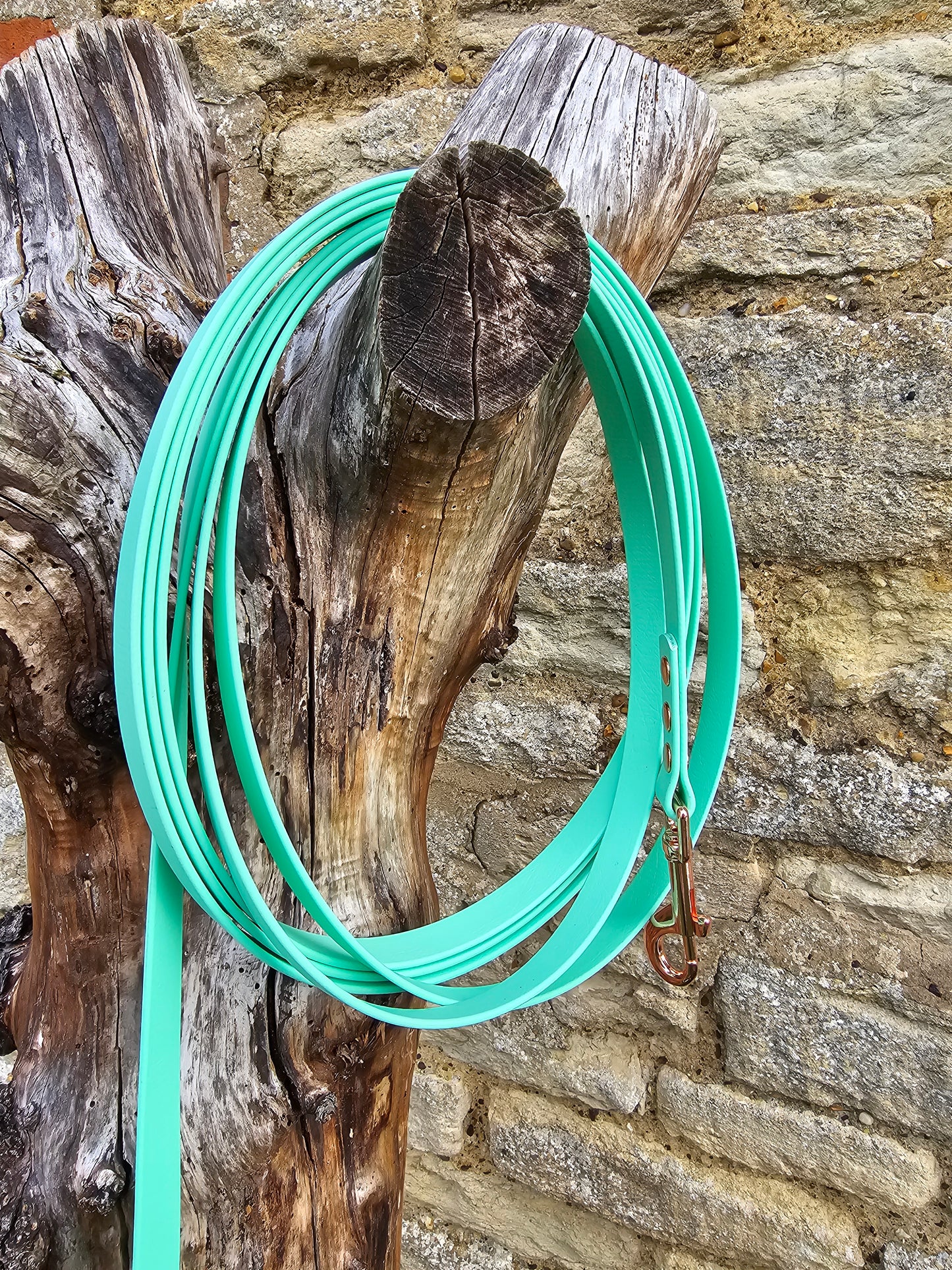 Mint - Waterproof BioThane© Dog Long Line Lead