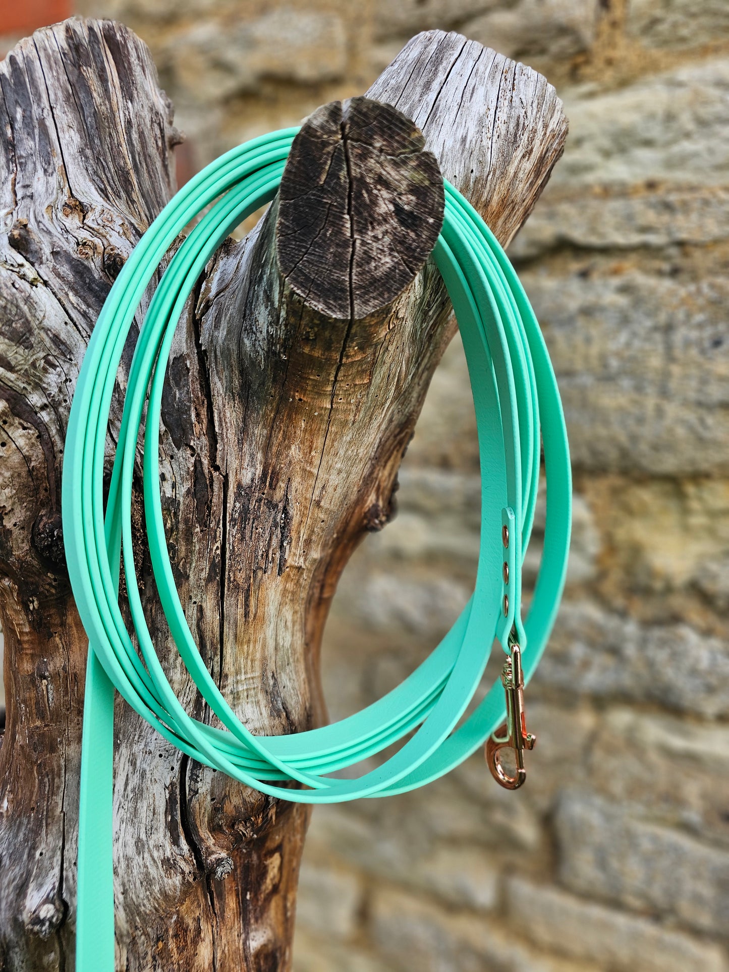 Mint - Waterproof BioThane© Dog Long Line Lead