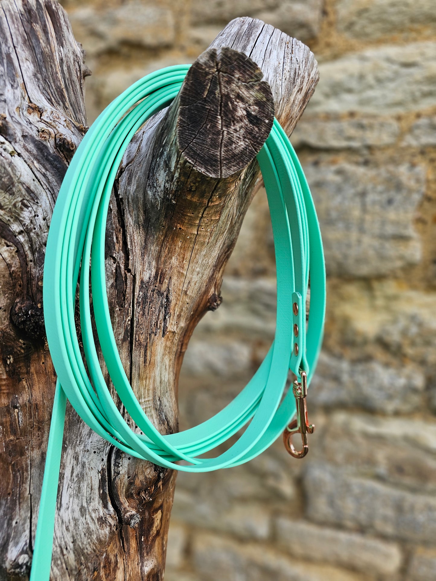 Mint - Waterproof BioThane© Dog Long Line Lead