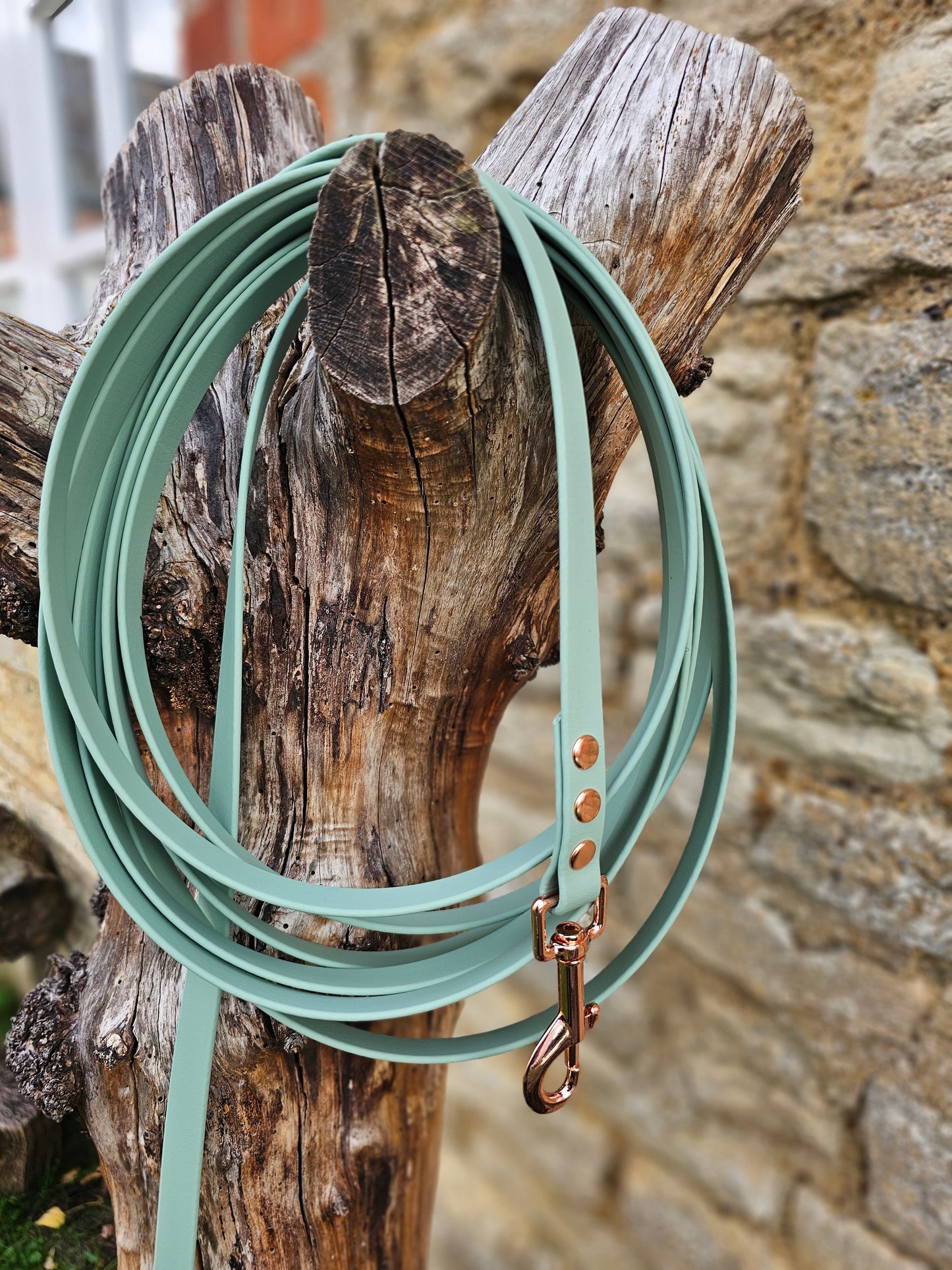 Sage - Waterproof BioThane© Dog Long Line Lead