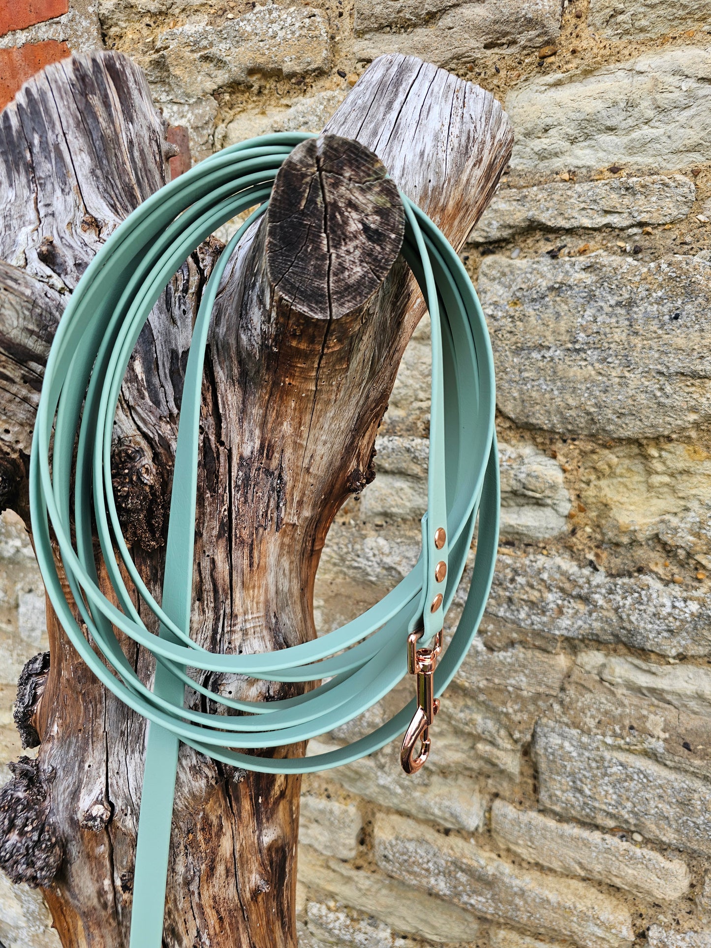 Sage - Waterproof BioThane© Dog Long Line Lead