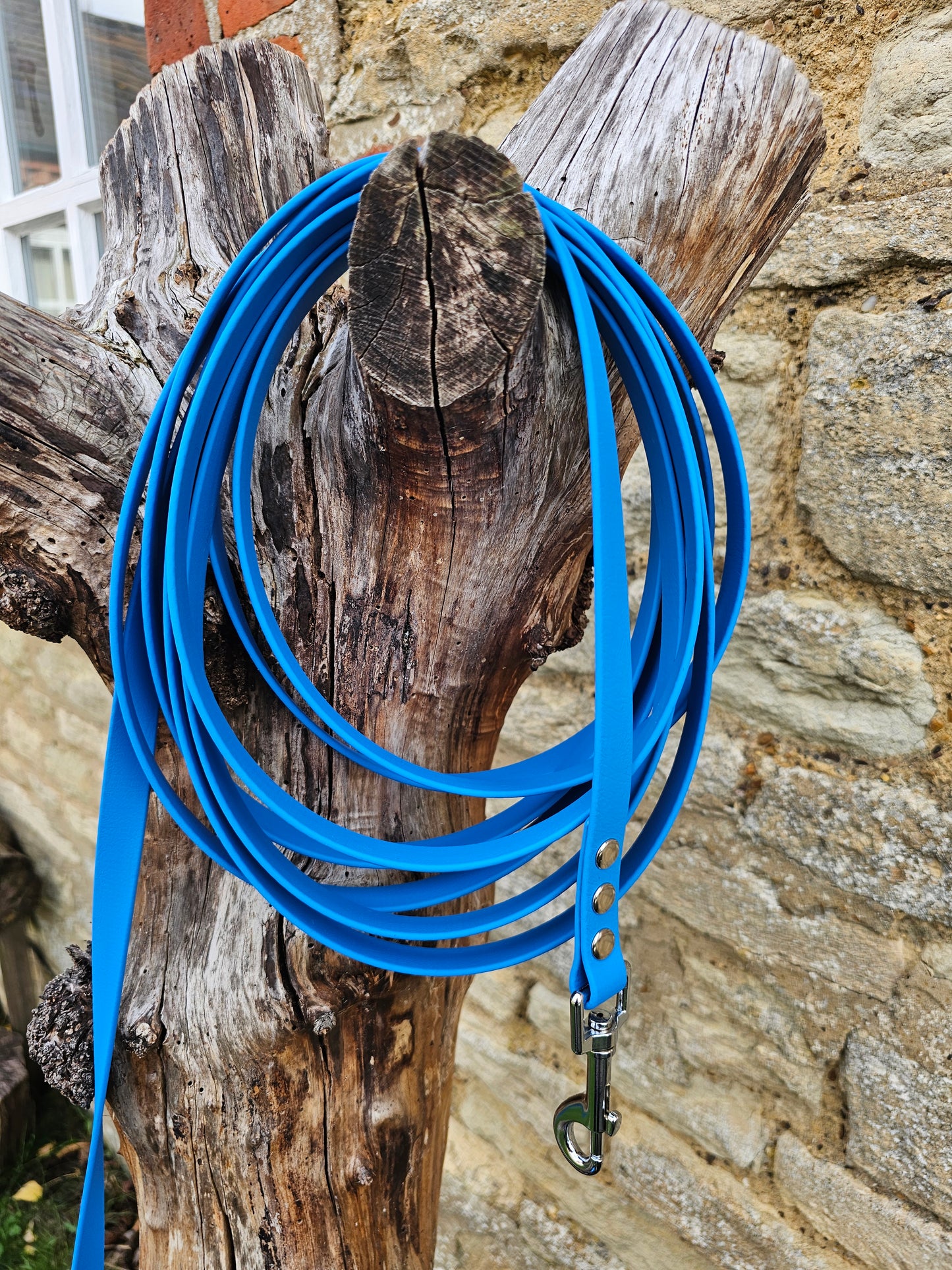 Blue - Waterproof BioThane© Dog Long Line Lead