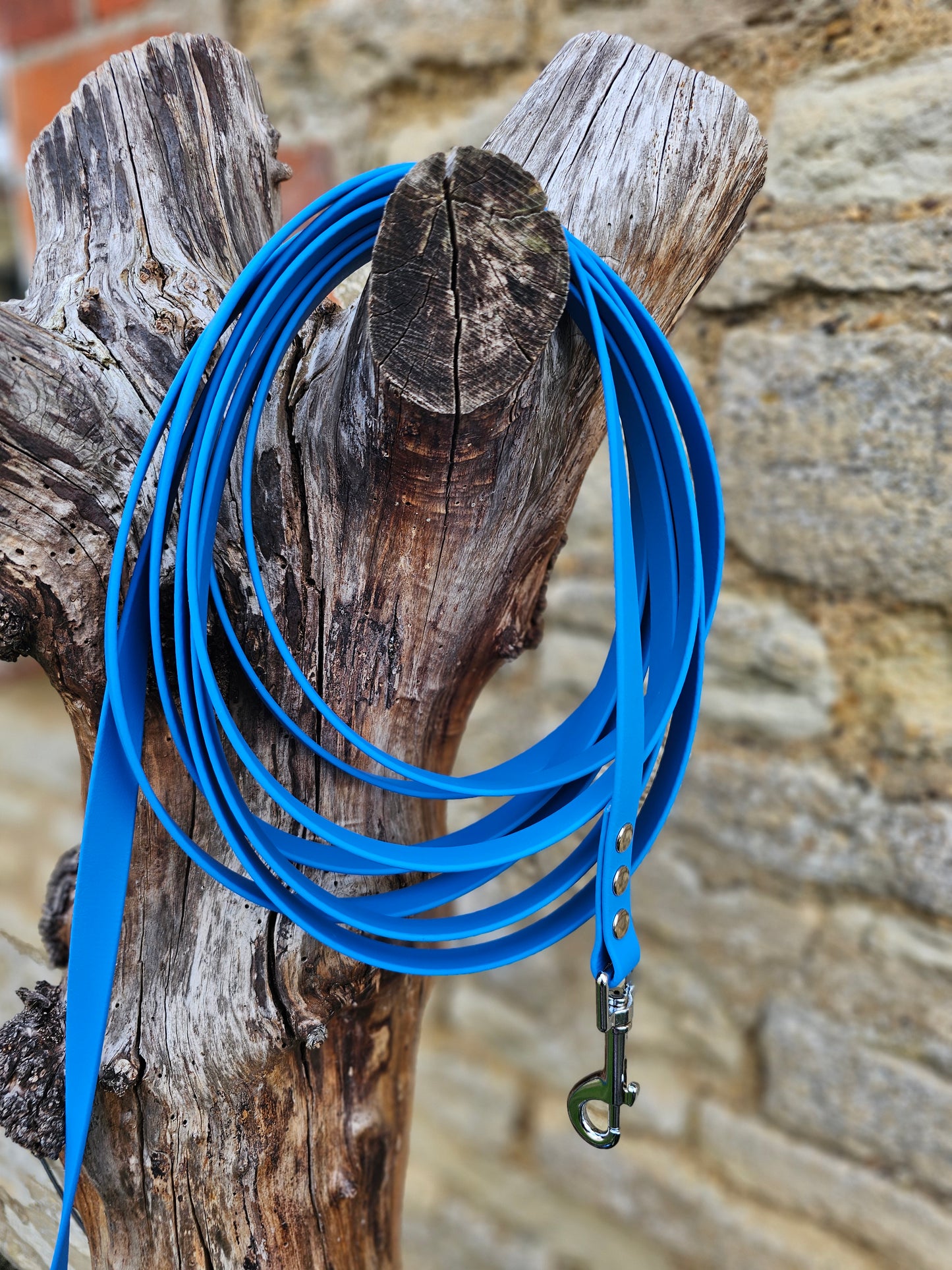 Blue - Waterproof BioThane© Dog Long Line Lead
