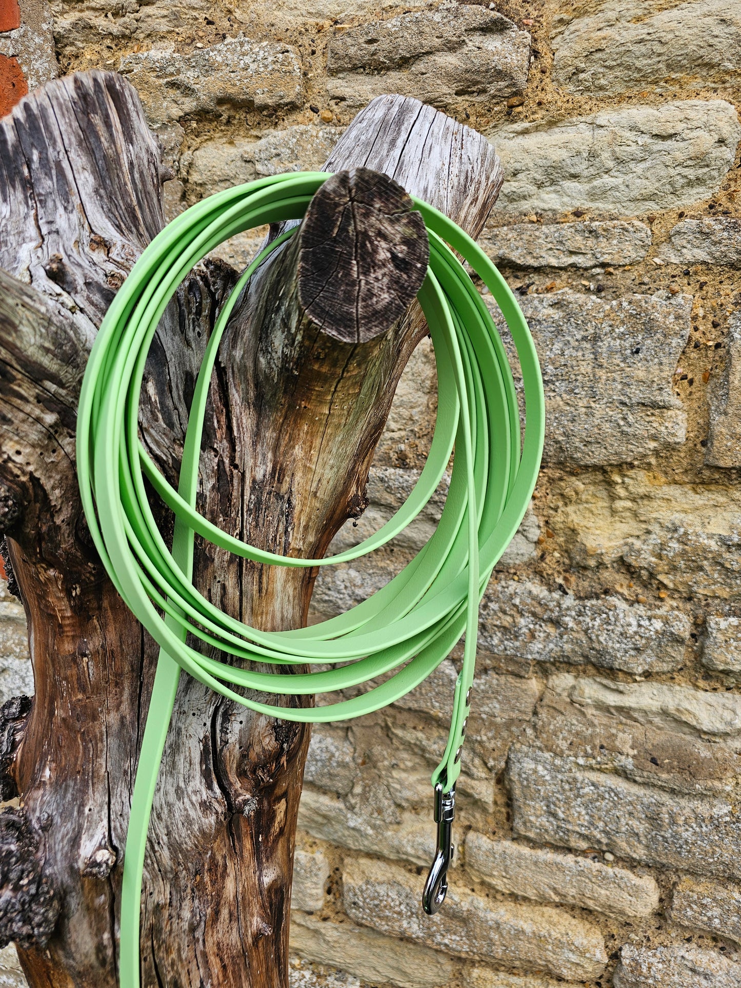 Pistachio - Waterproof BioThane© Dog Long Line Lead