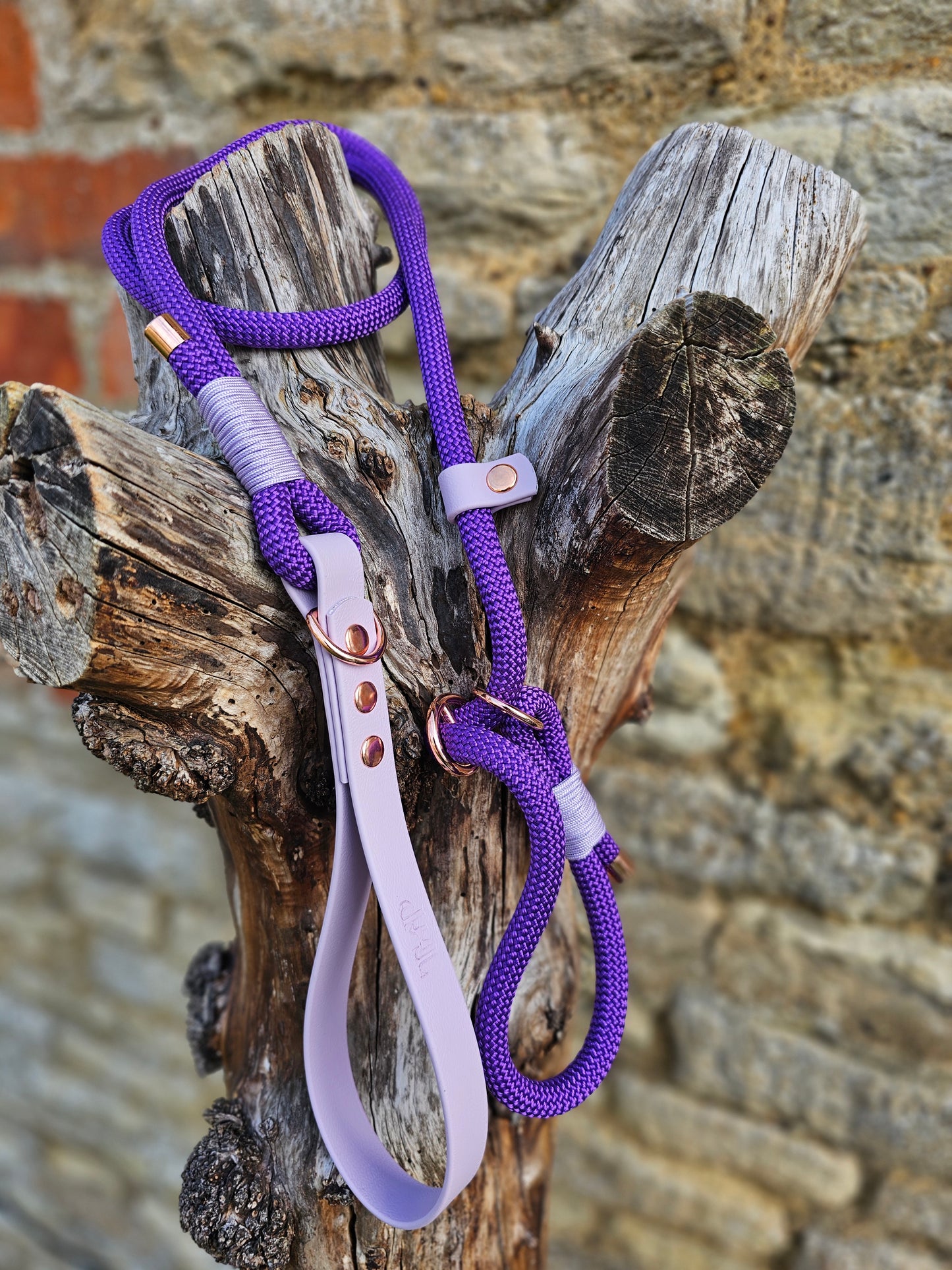 Purple & Lilac - Classic Rope Slip Lead / Figure 8 Dog Lead