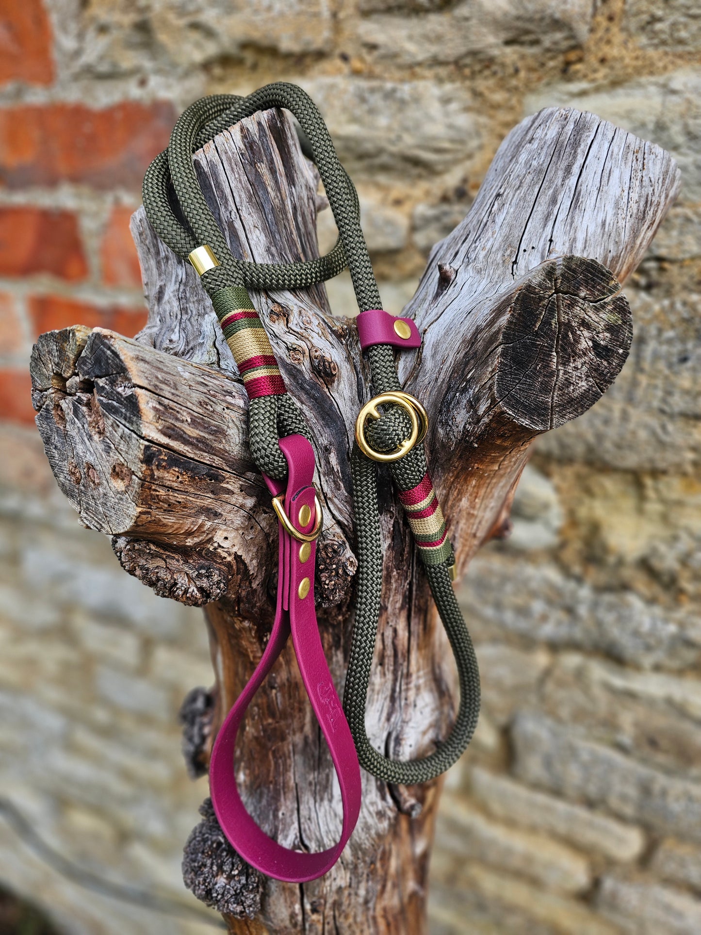 Winchester - Premium Rope Slip Lead / Figure 8 Dog Lead