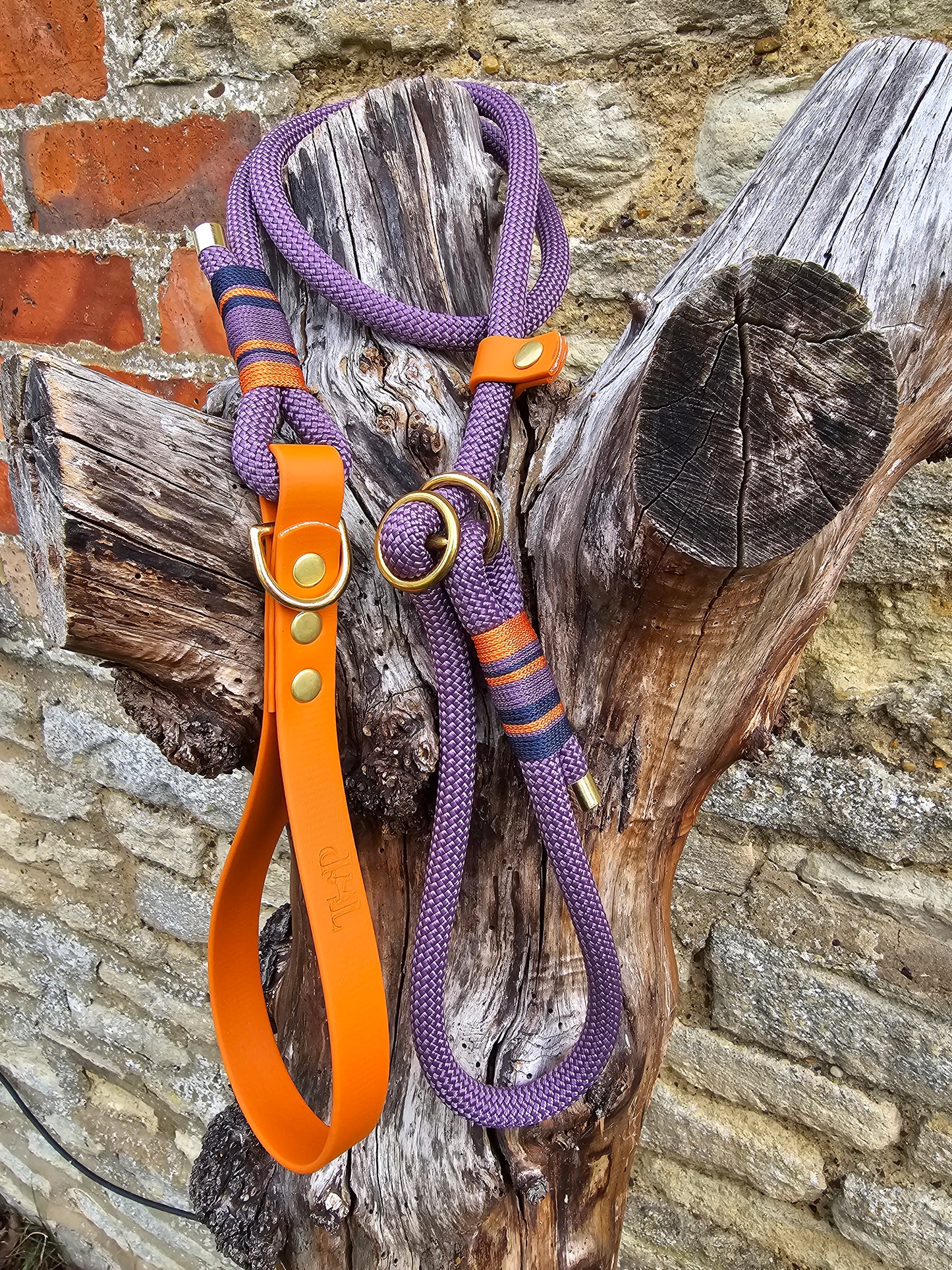 Ascot - Premium Rope Slip Lead / Figure 8 Dog Lead