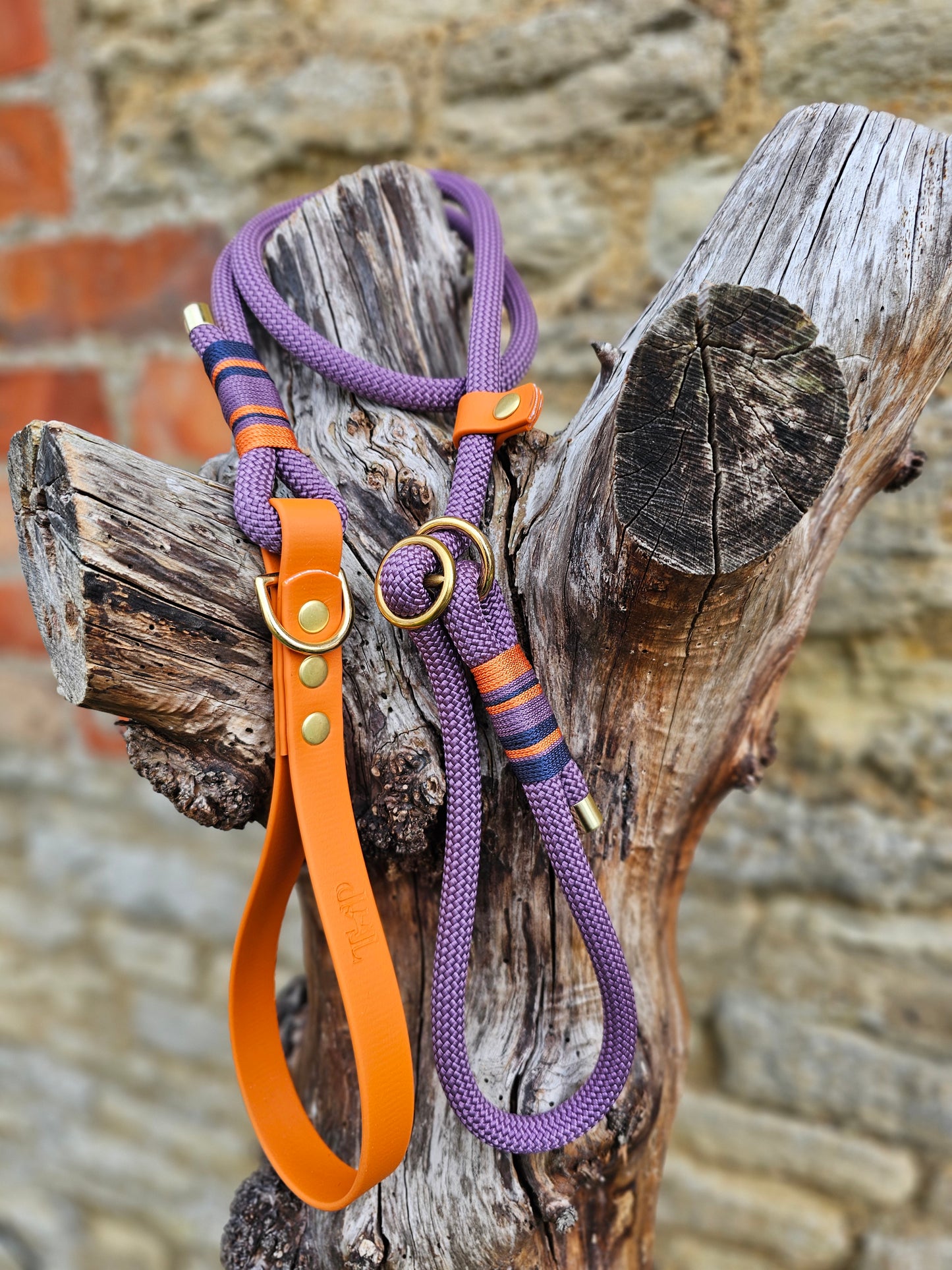 Ascot - Premium Rope Slip Lead / Figure 8 Dog Lead