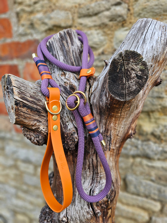 Ascot - Premium Rope Slip Lead / Figure 8 Dog Lead