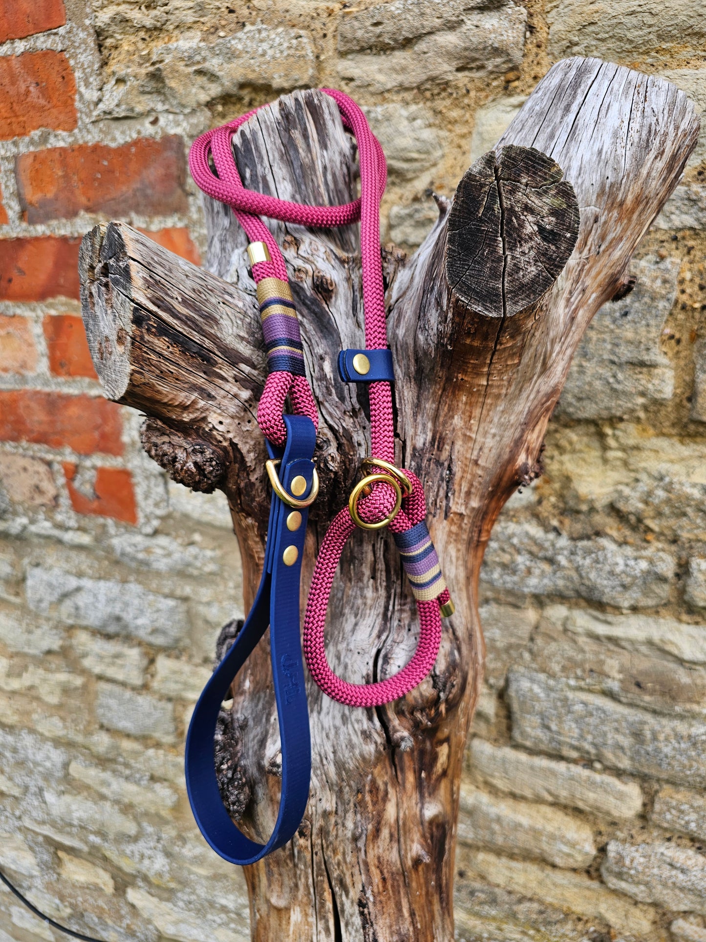 Oxford - Premium Rope Slip Lead / Figure 8 Dog Lead