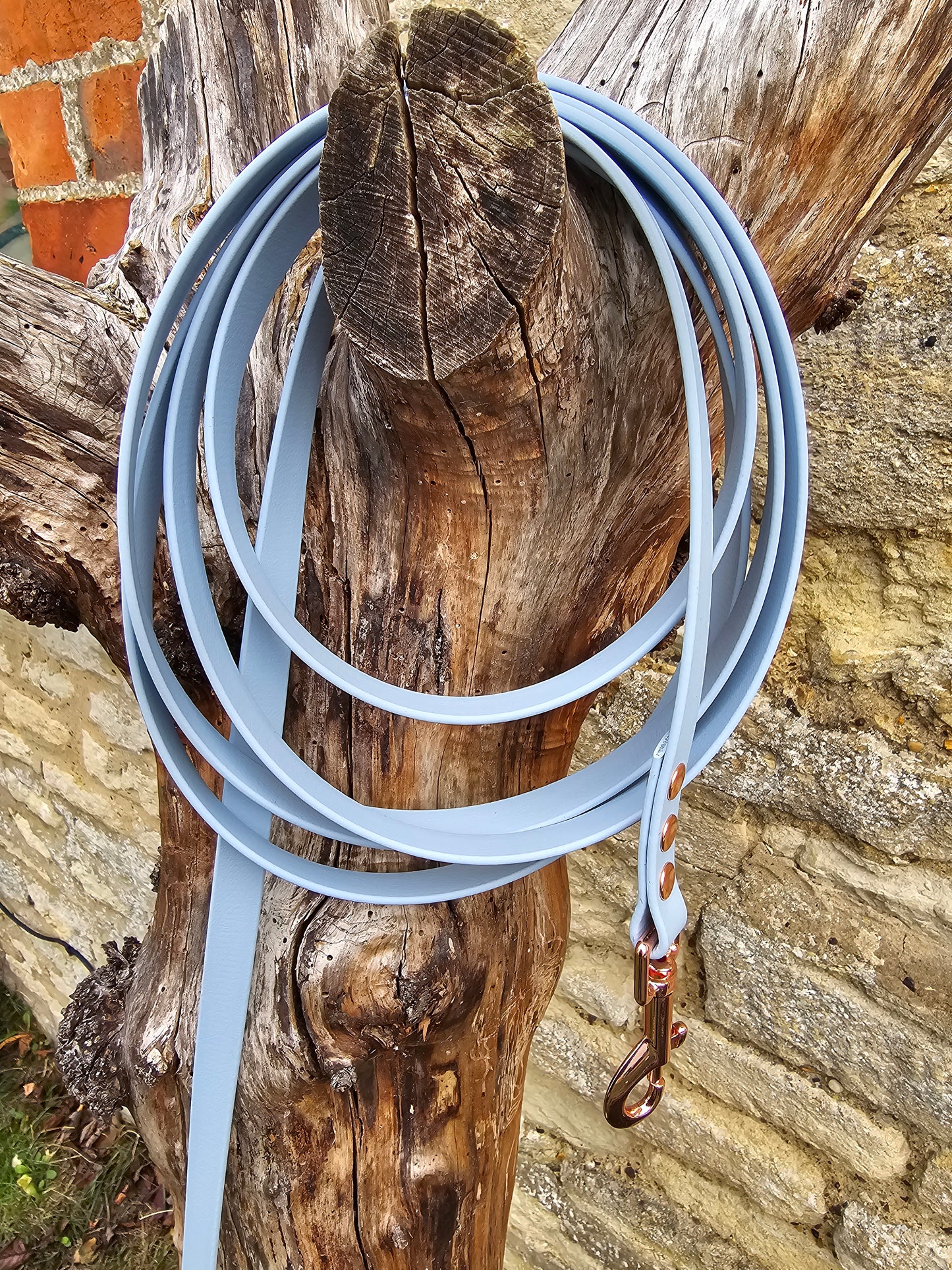 Baby Blue - Waterproof BioThane© Dog Long Line Lead