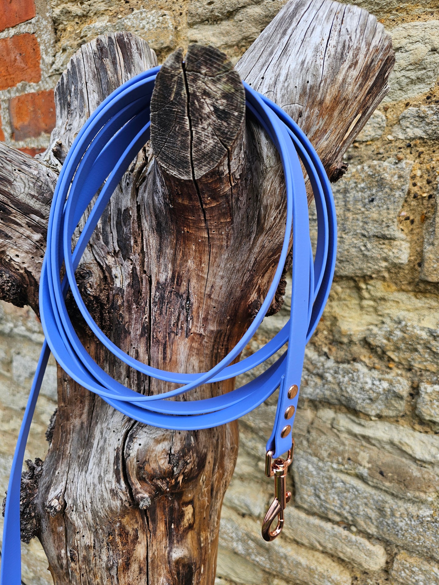 Periwinkle - Waterproof BioThane© Dog Long Line Lead