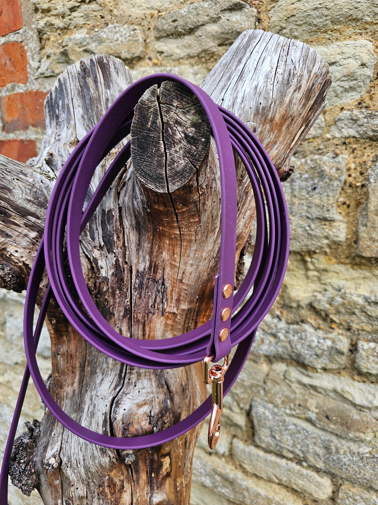 Aubergine - Waterproof BioThane© Dog Long Line Lead