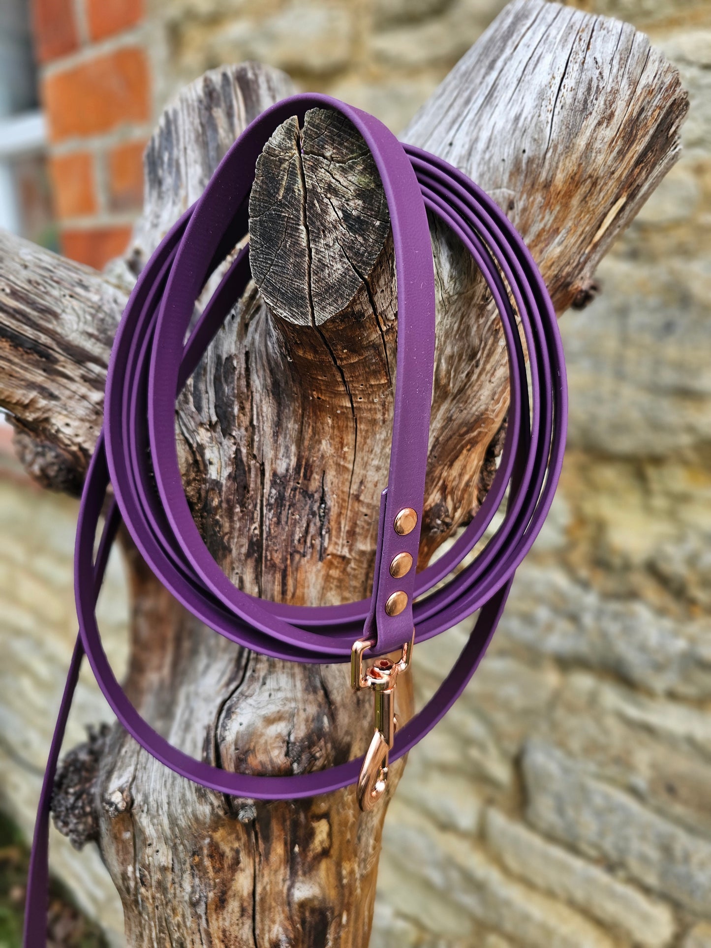 Aubergine - Waterproof BioThane© Dog Long Line Lead