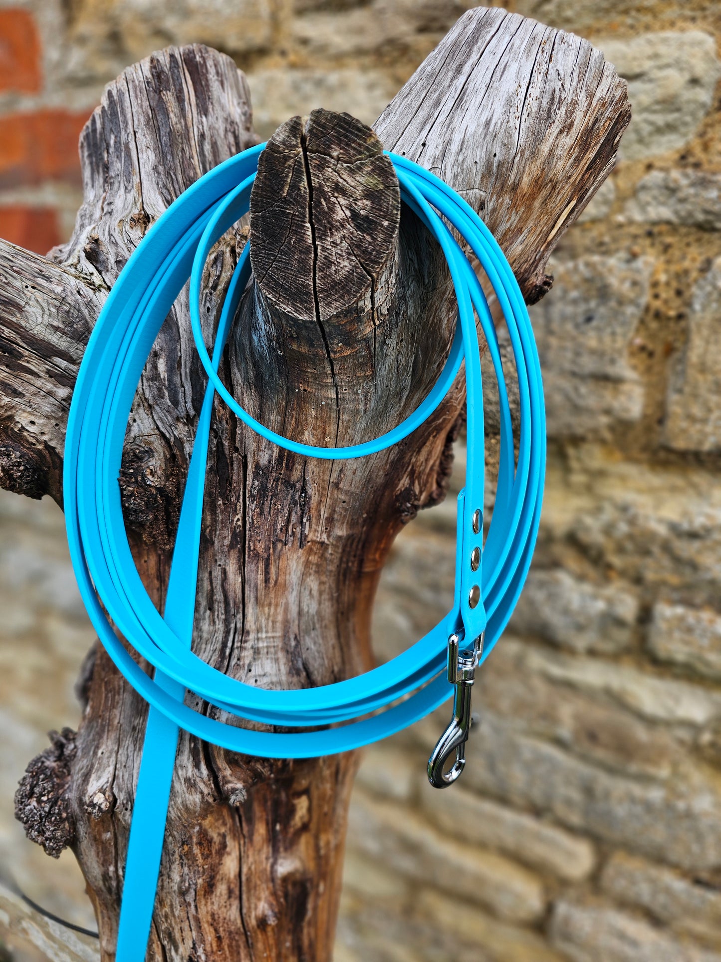 Neon Blue - Waterproof BioThane© Dog Long Line Lead